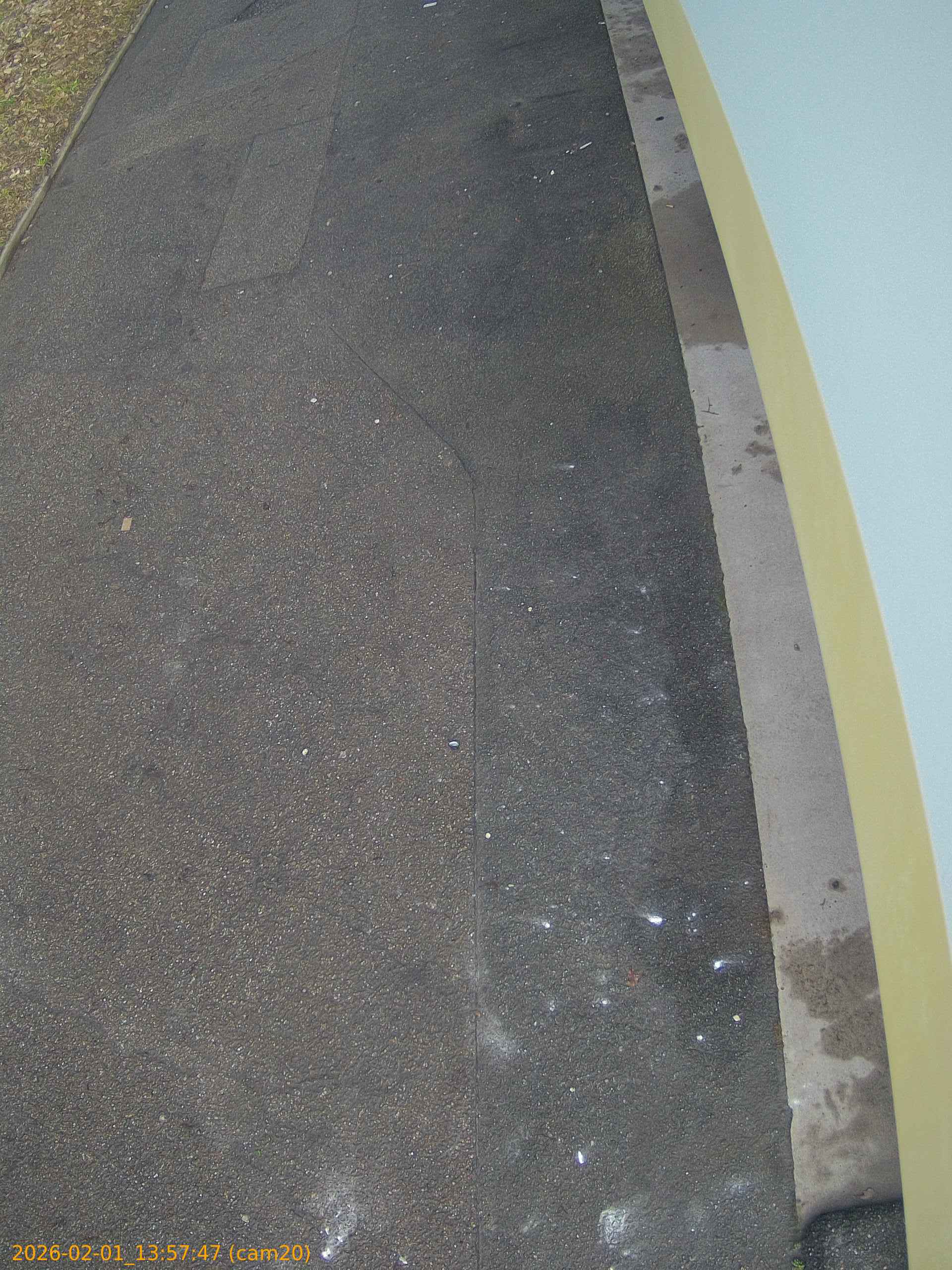 thumbnail_20260201135747