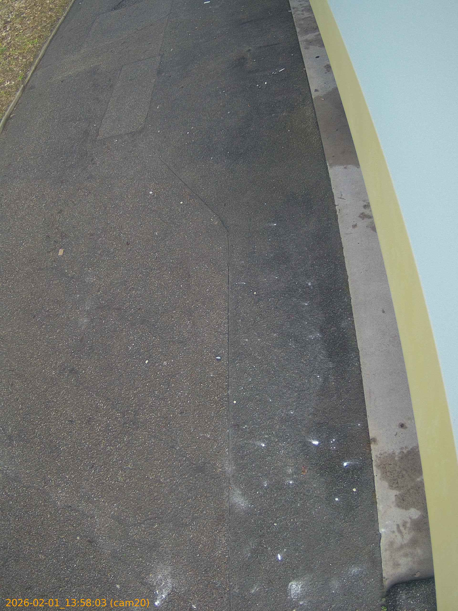 thumbnail_20260201135803