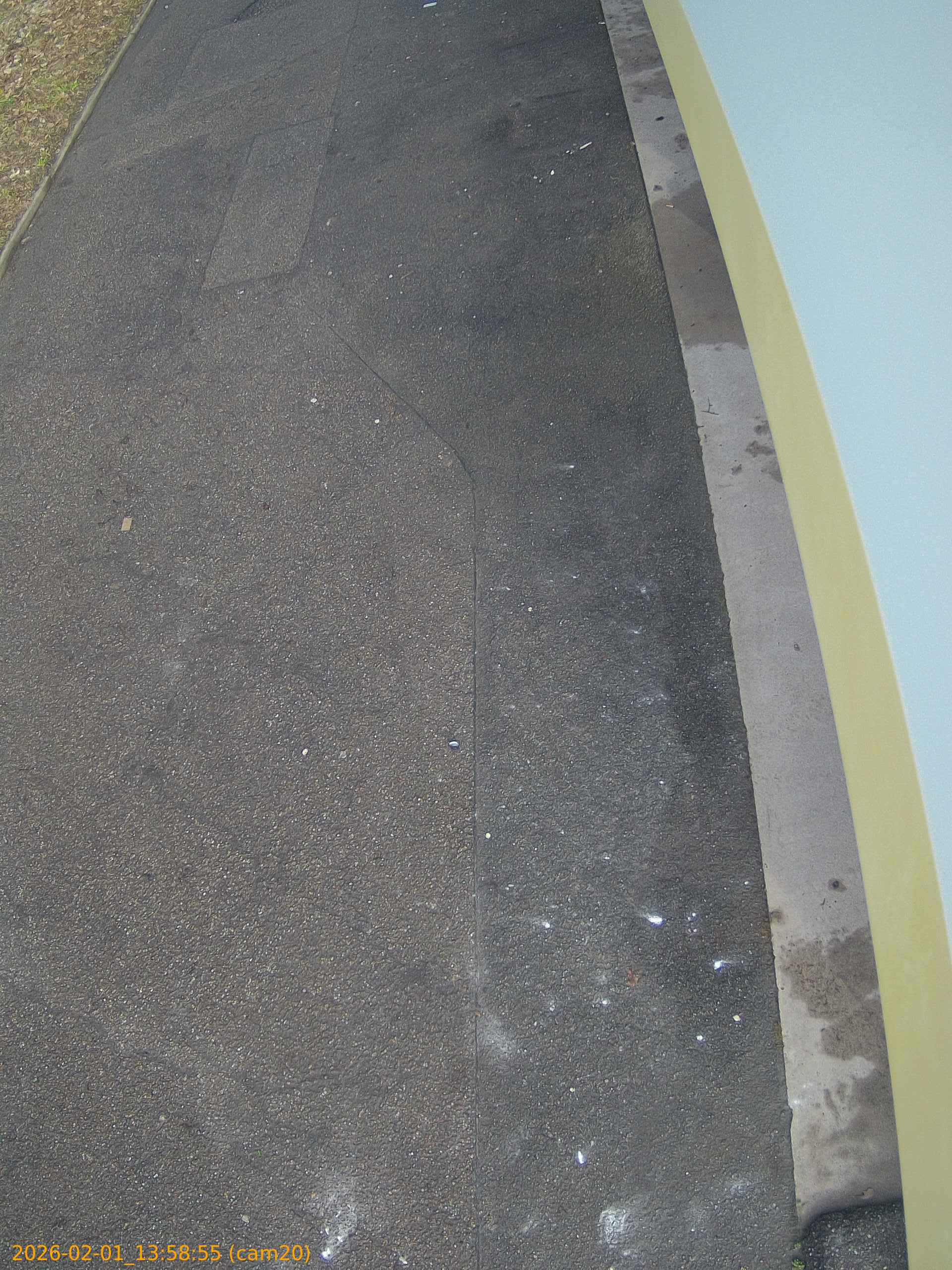 thumbnail_20260201135855