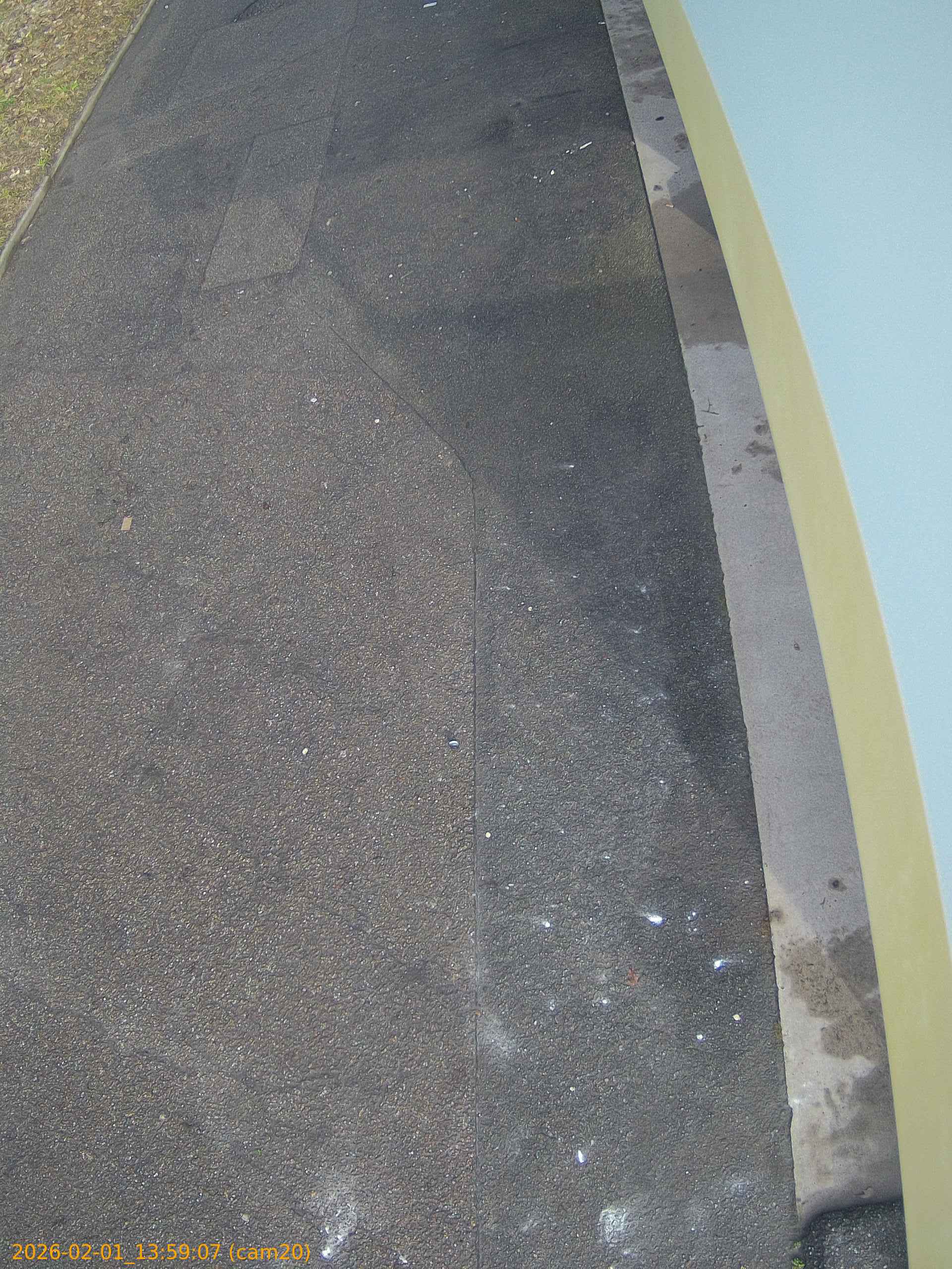 thumbnail_20260201135907