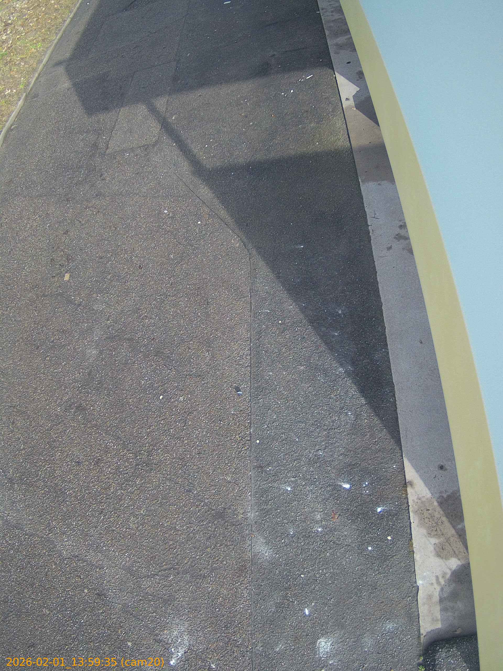 thumbnail_20260201135935