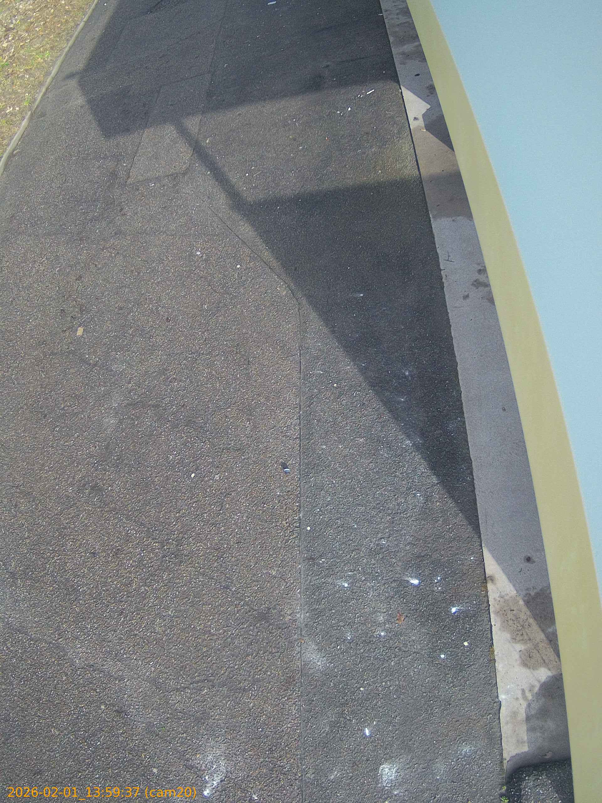 thumbnail_20260201135937