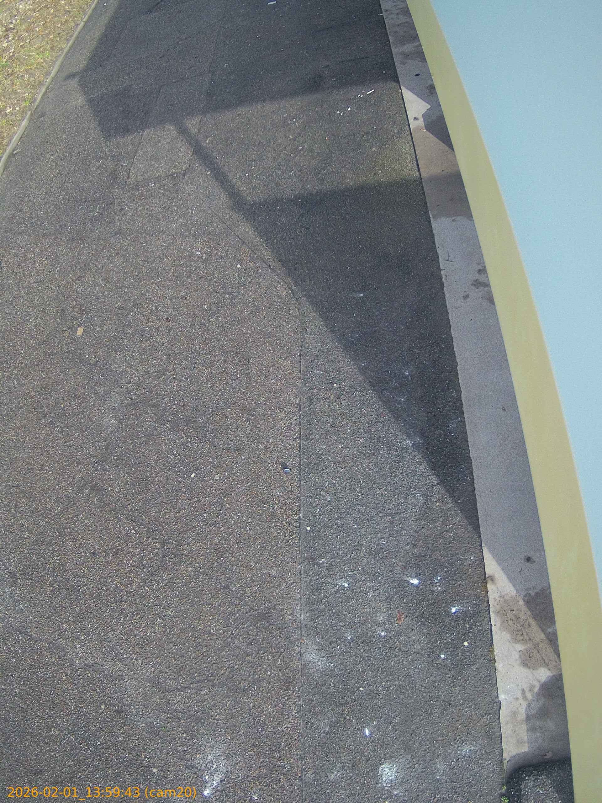 thumbnail_20260201135943