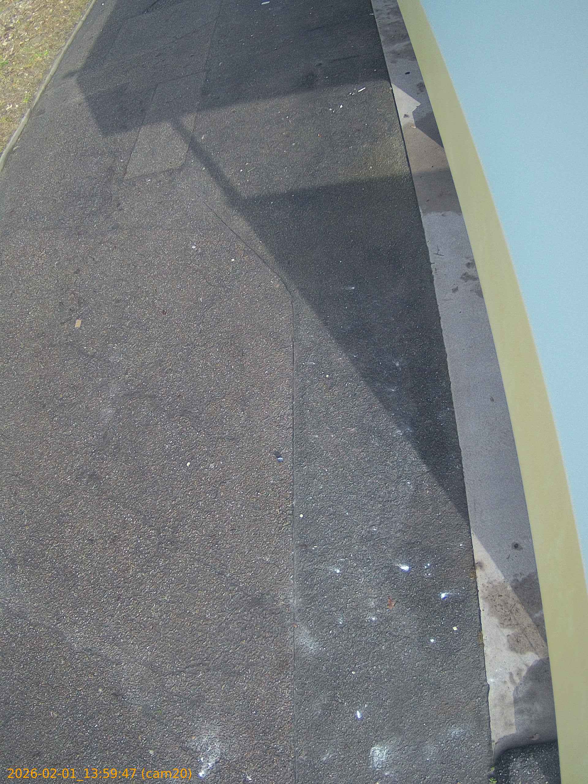 thumbnail_20260201135947