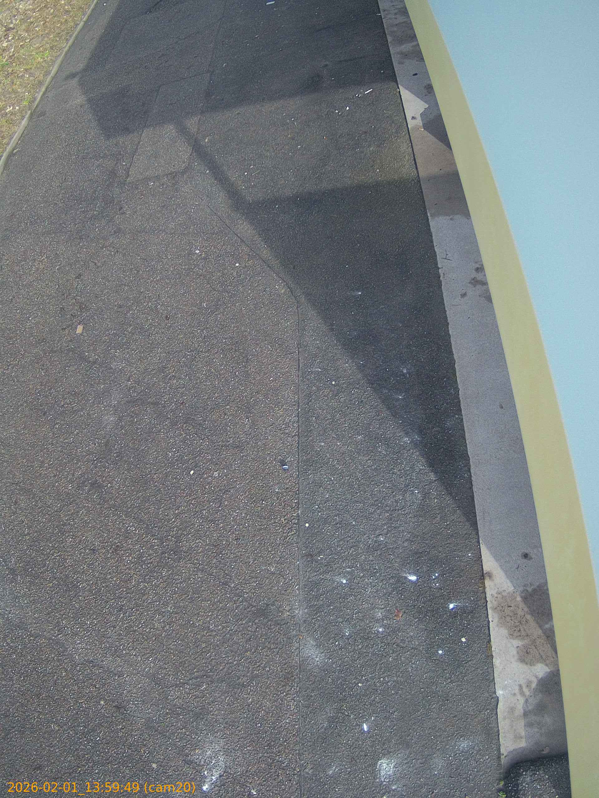 thumbnail_20260201135949