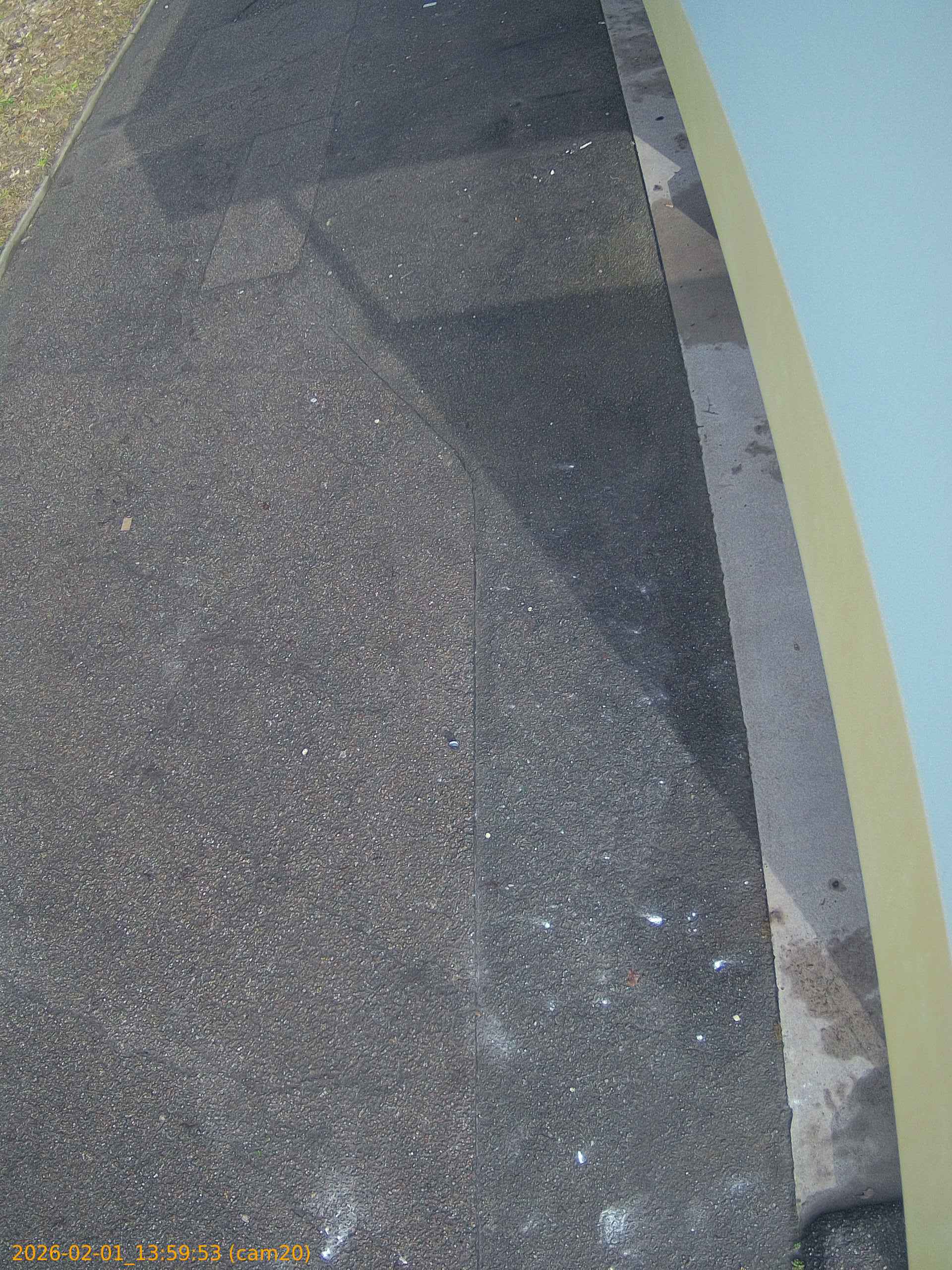 thumbnail_20260201135953