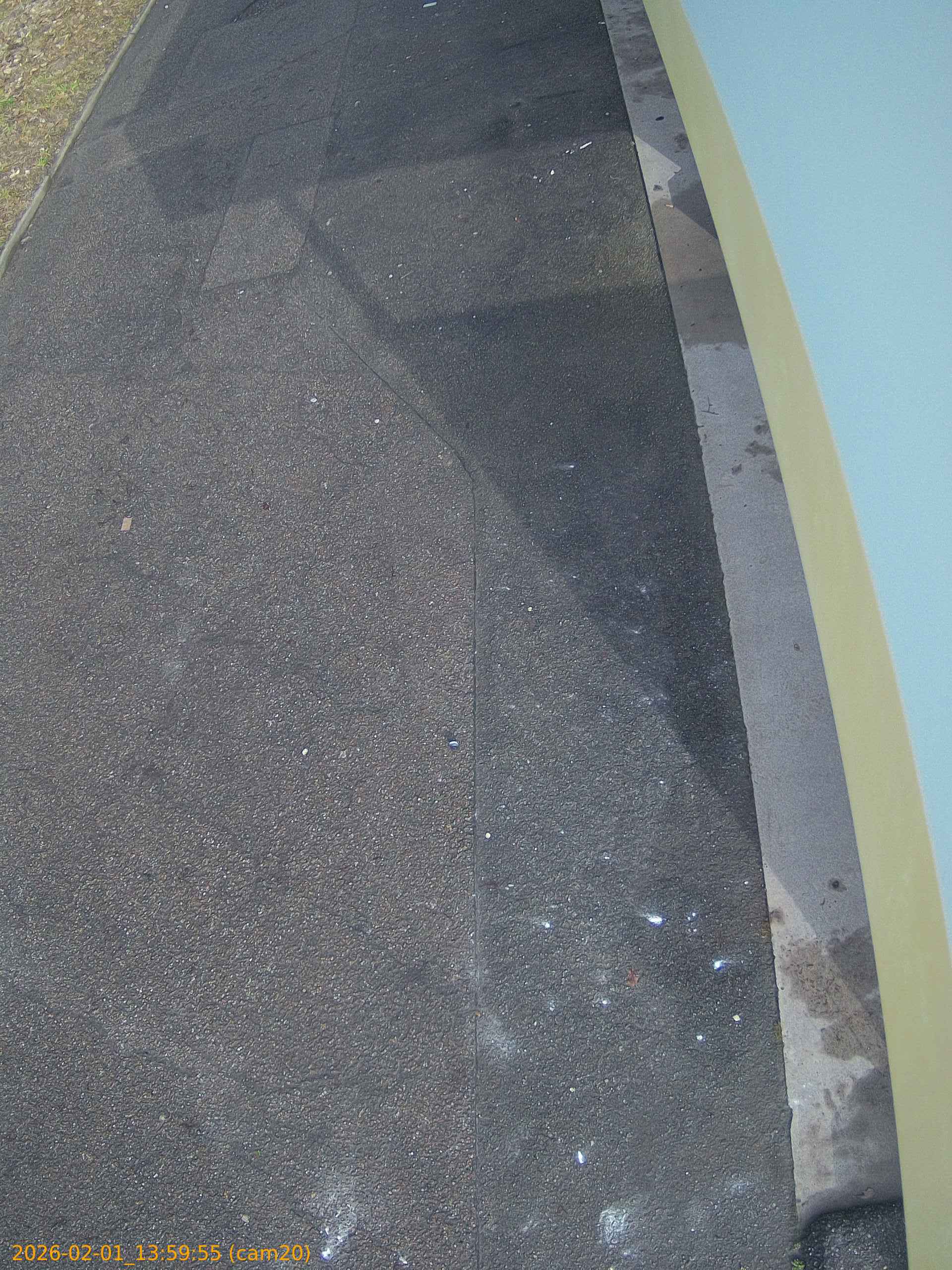 thumbnail_20260201135955