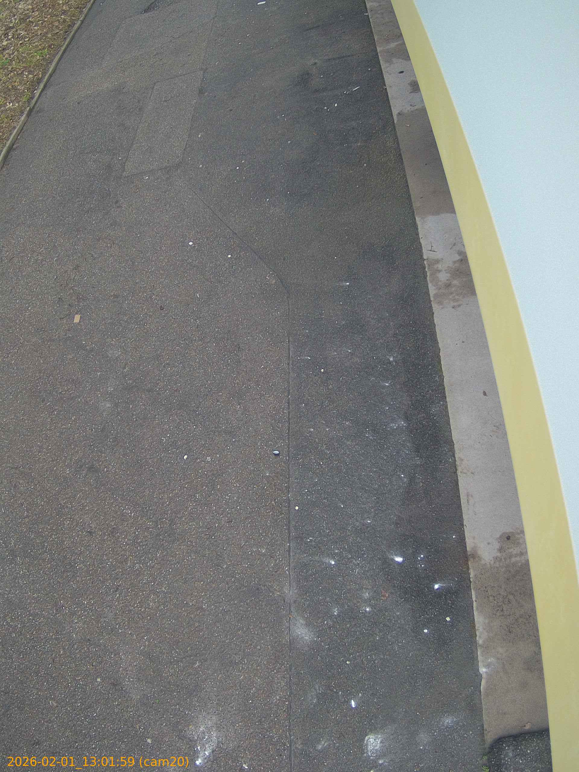 thumbnail_202602011301