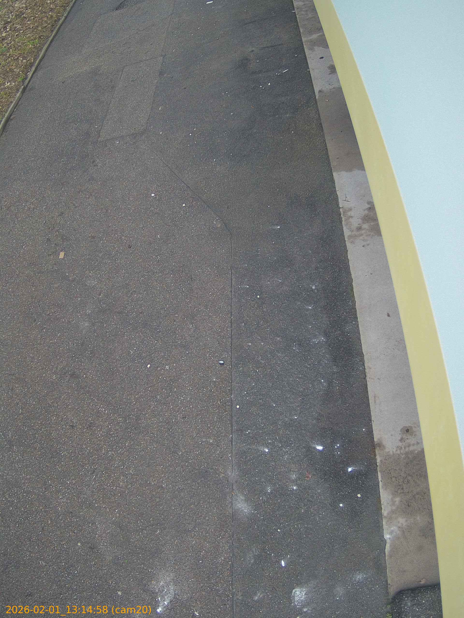 thumbnail_202602011314