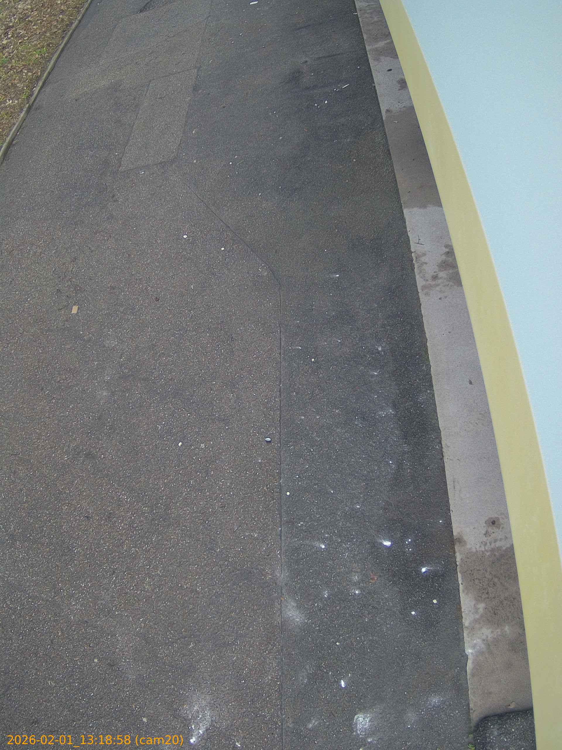 thumbnail_202602011318