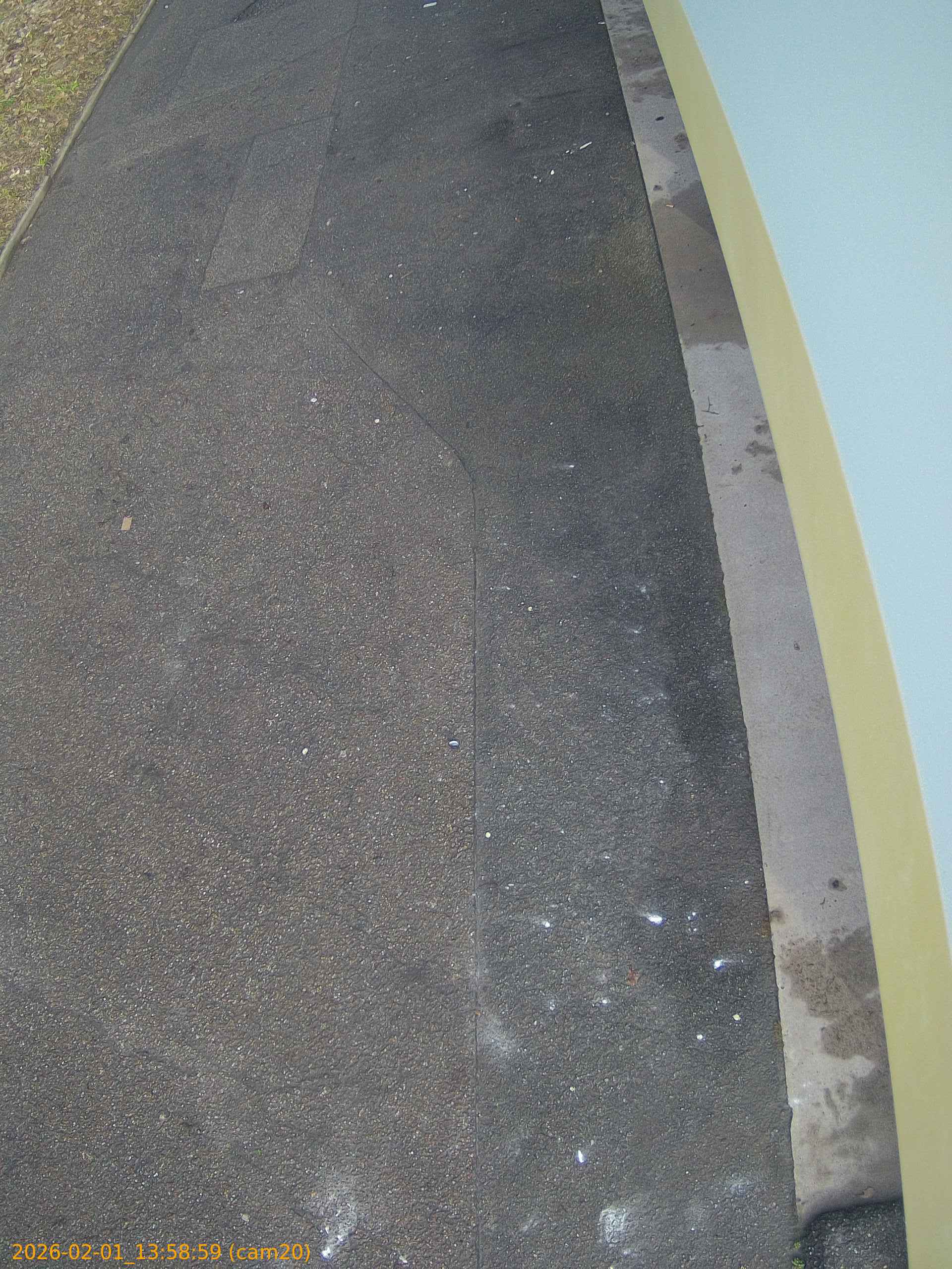 thumbnail_202602011358