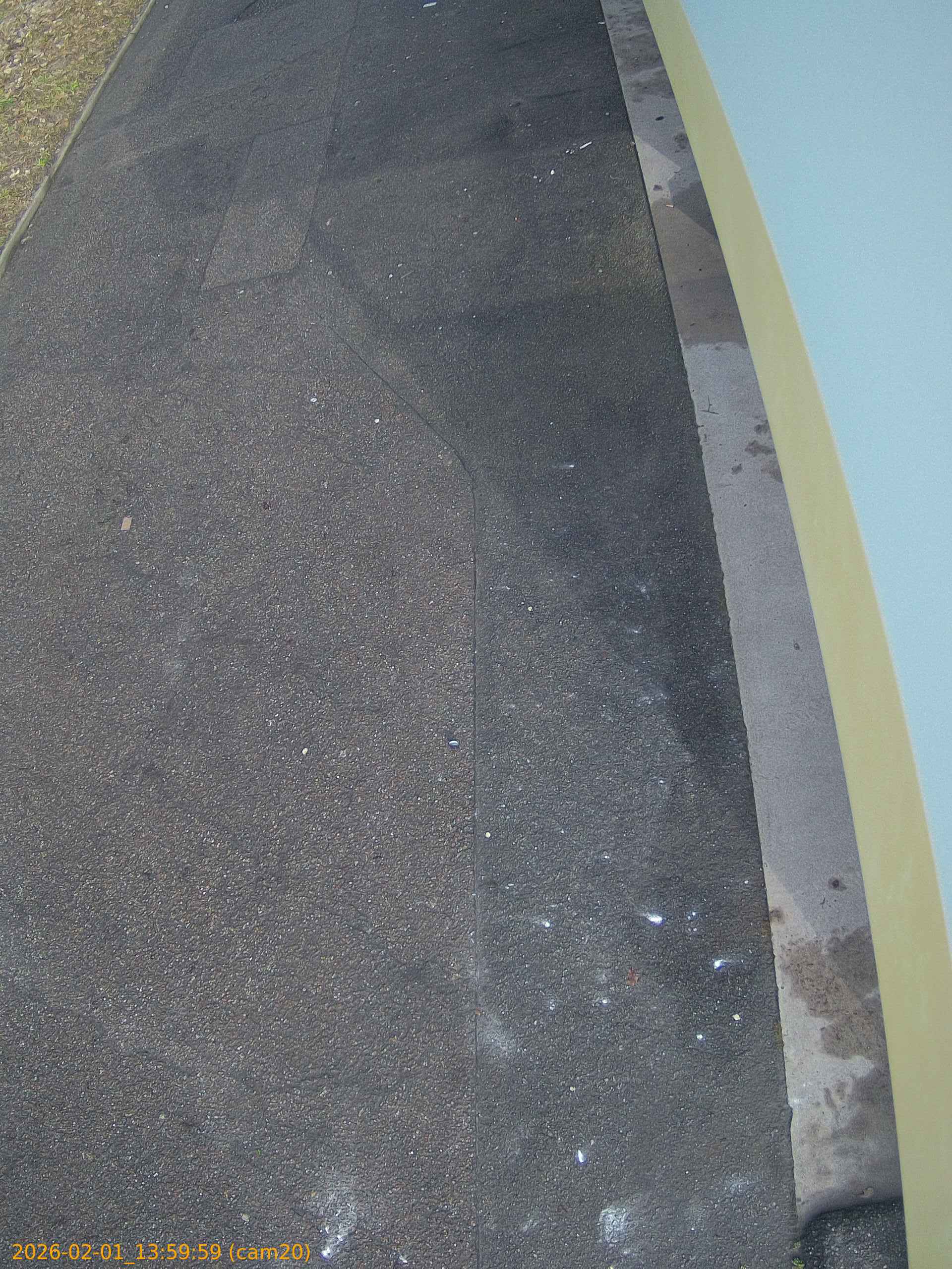 thumbnail_202602011359