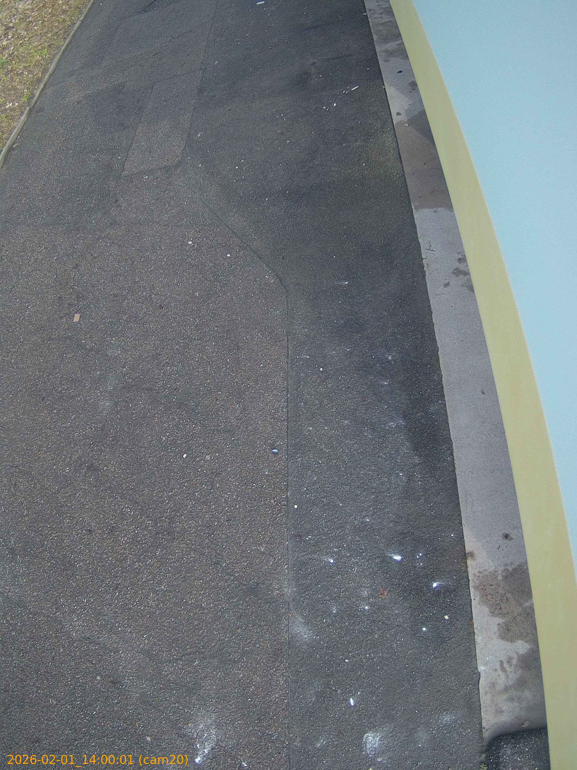 thumbnail_20260201140001