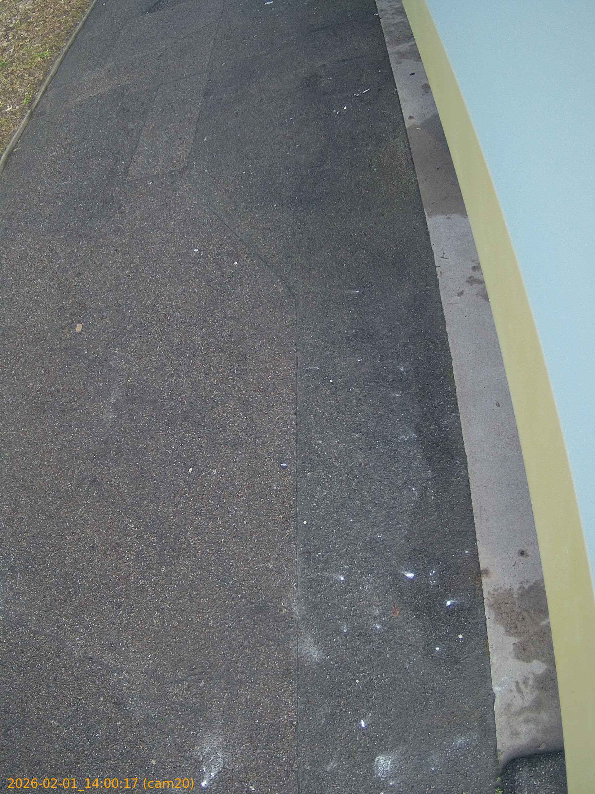 thumbnail_20260201140017