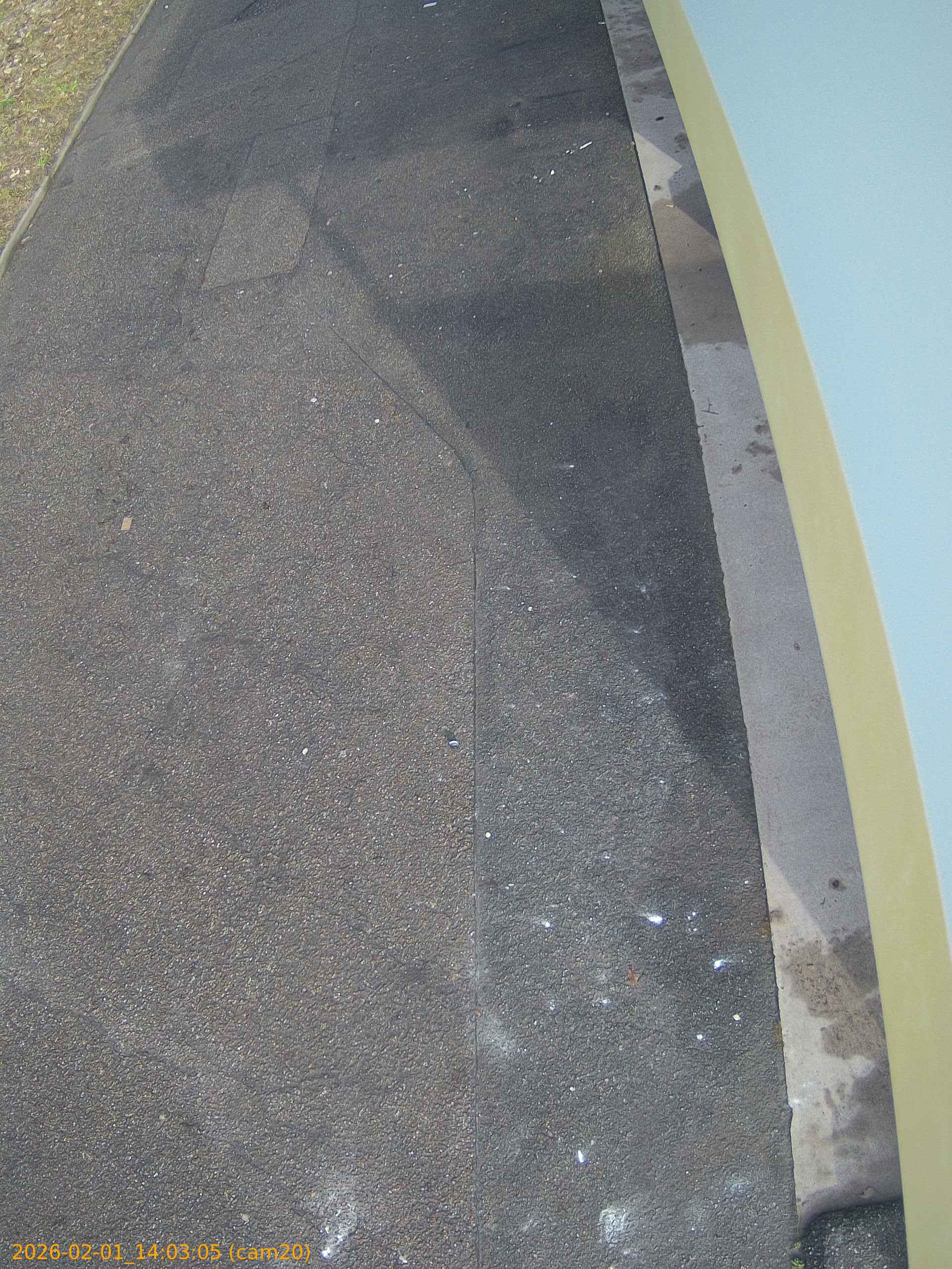 thumbnail_20260201140305