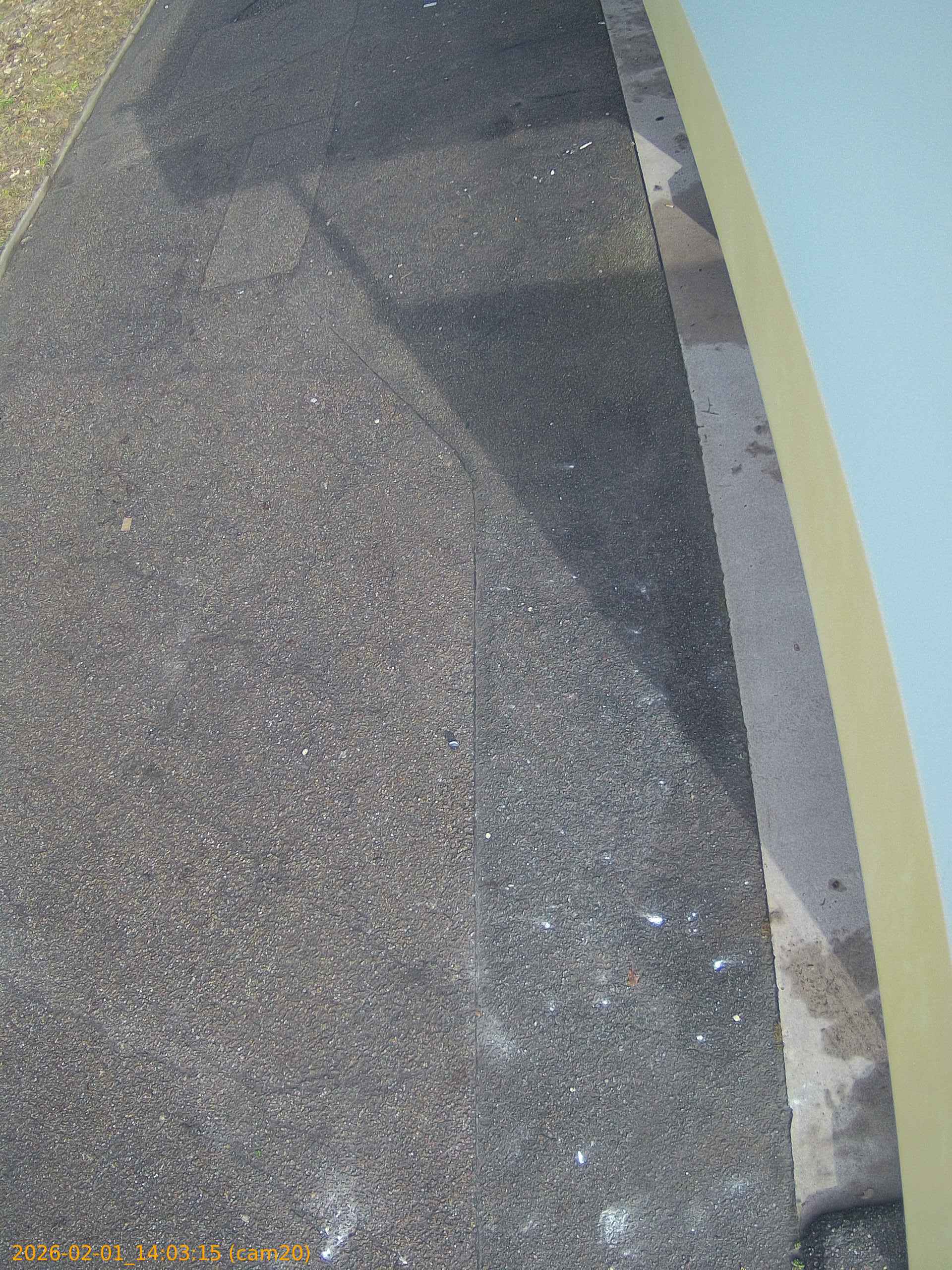 thumbnail_20260201140315