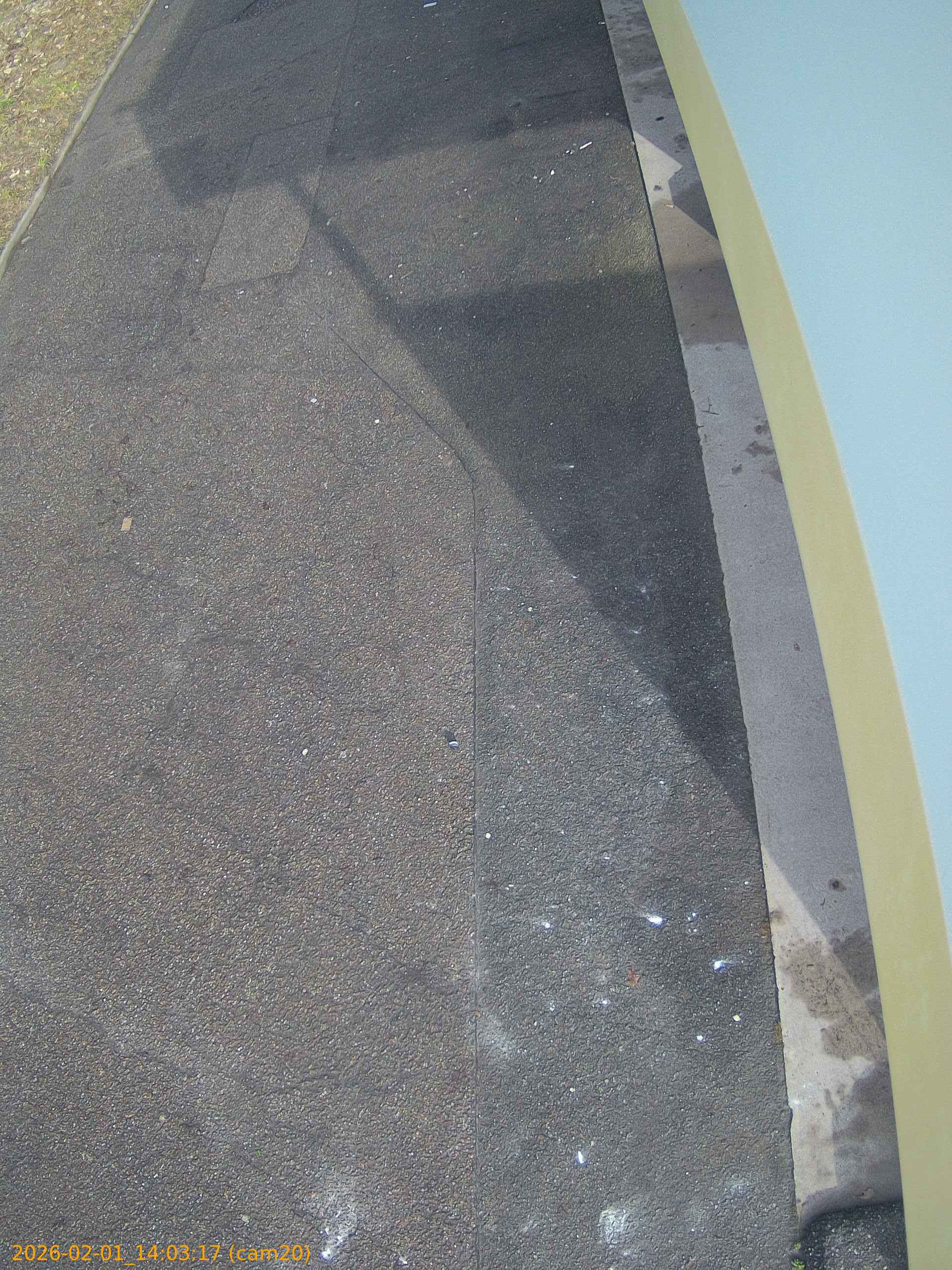 thumbnail_20260201140317