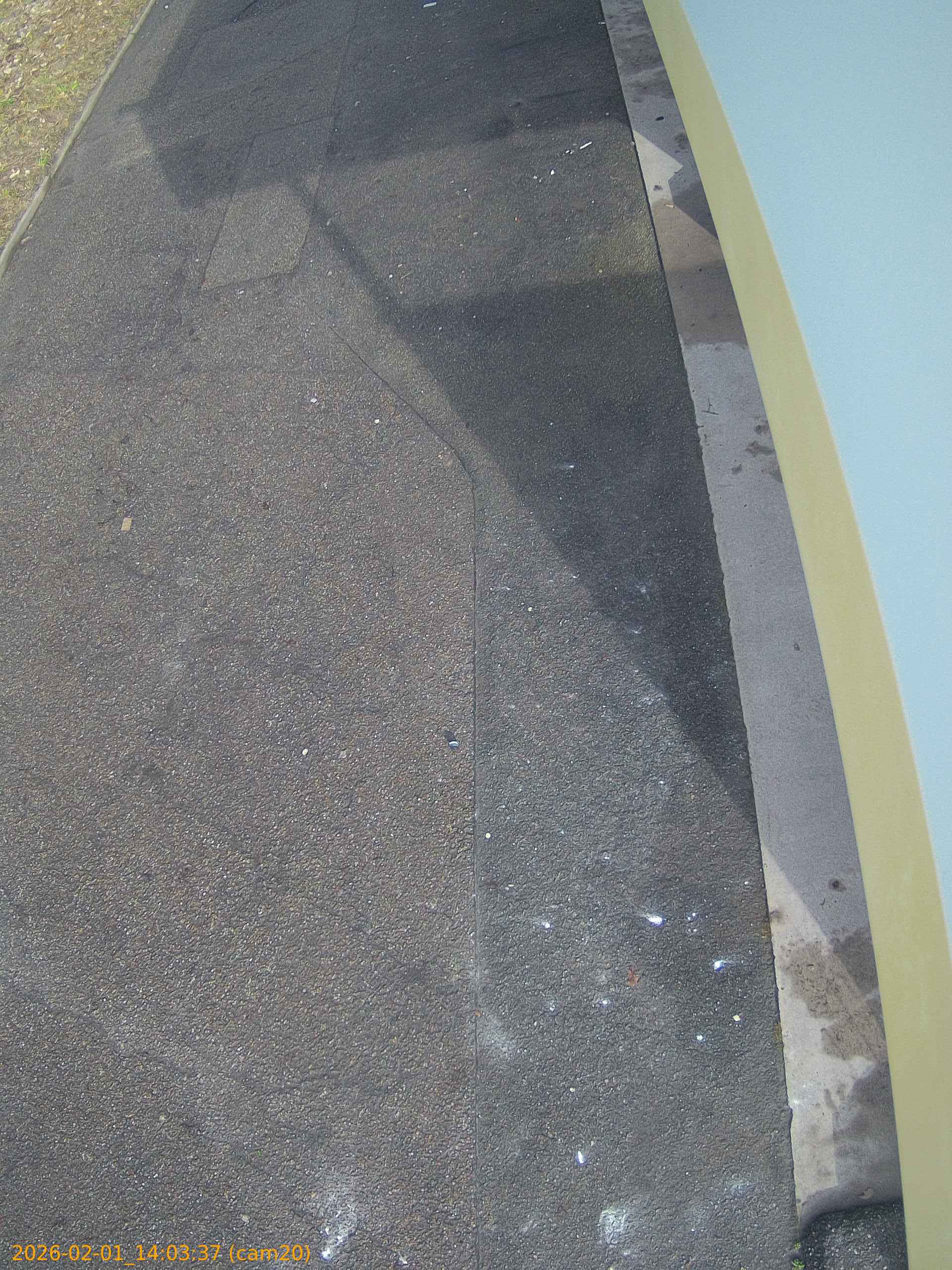 thumbnail_20260201140337