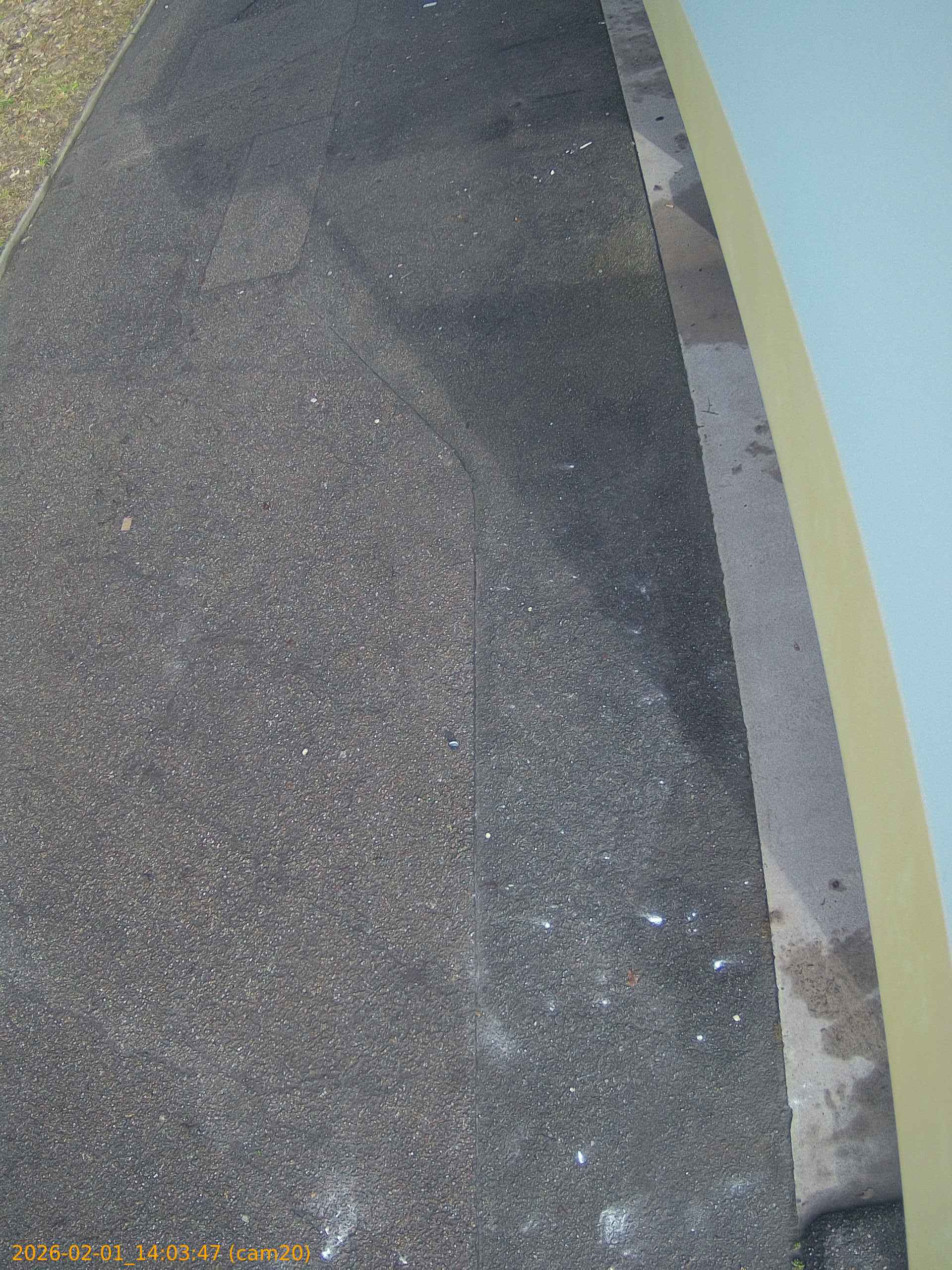 thumbnail_20260201140347