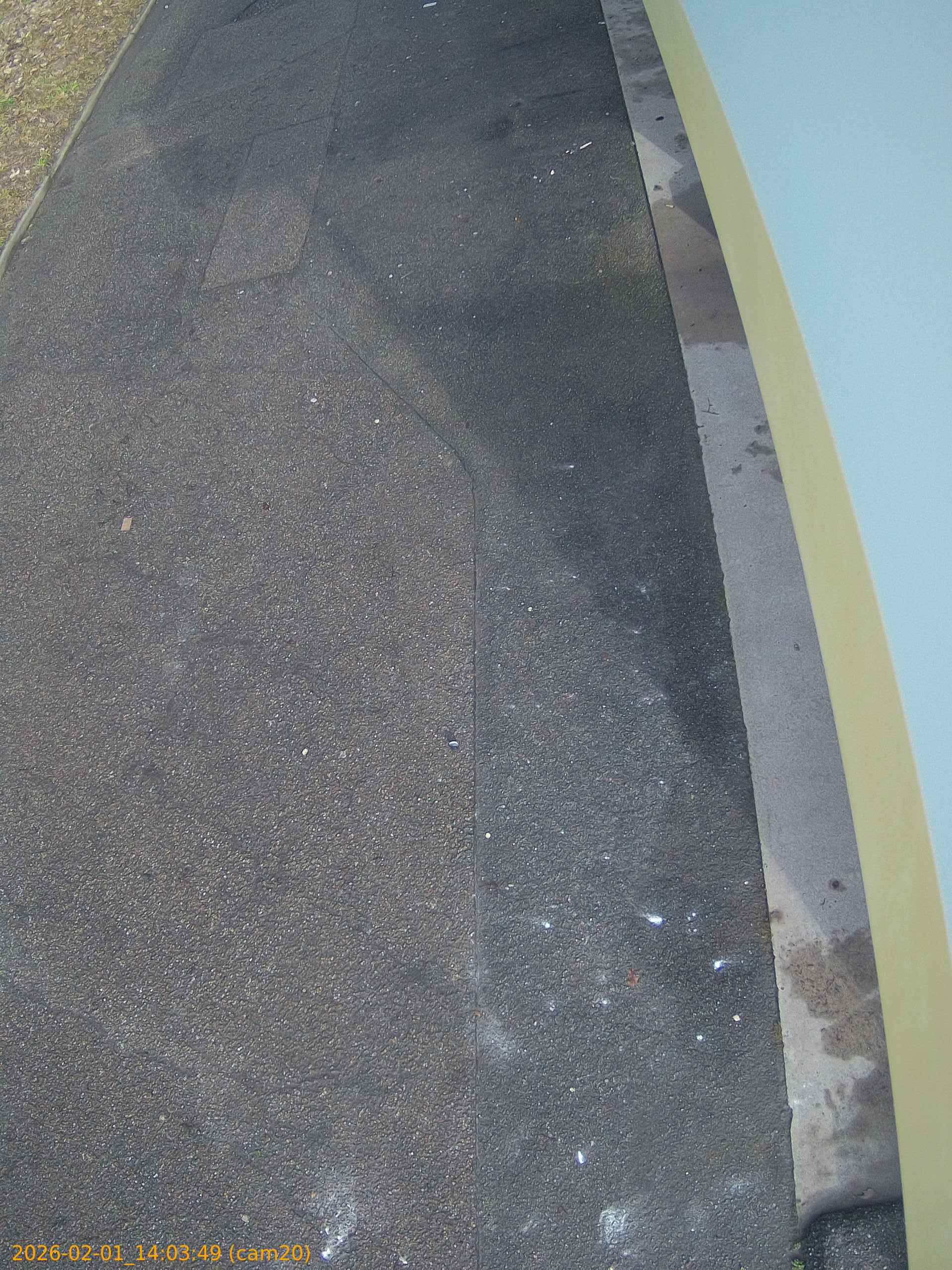 thumbnail_20260201140349