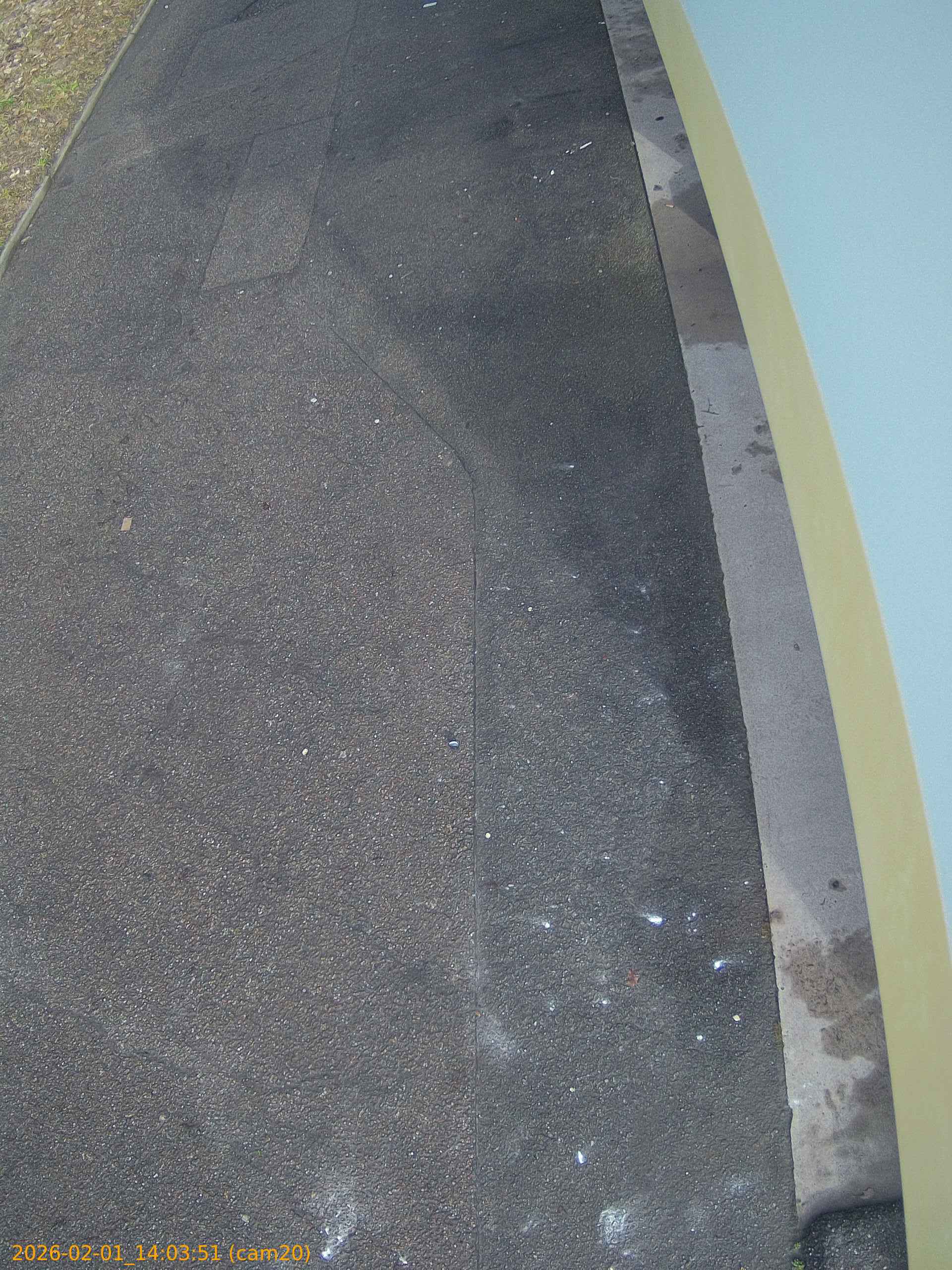 thumbnail_20260201140351