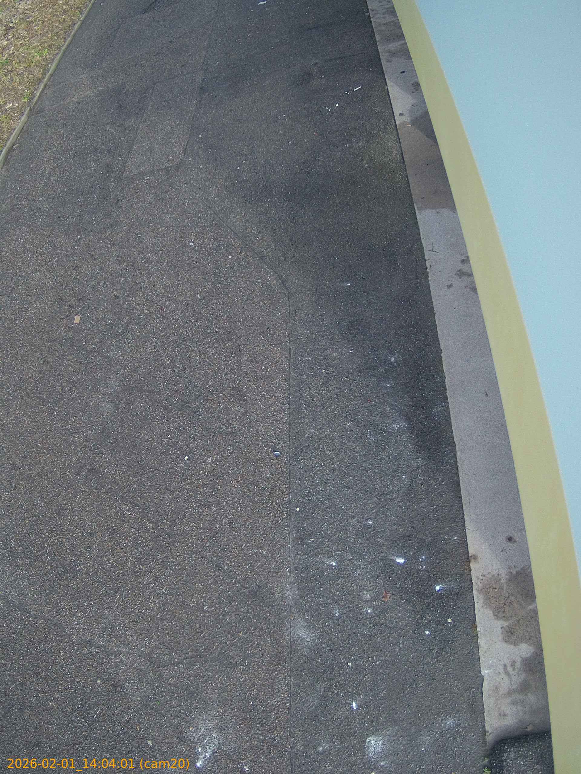 thumbnail_20260201140401