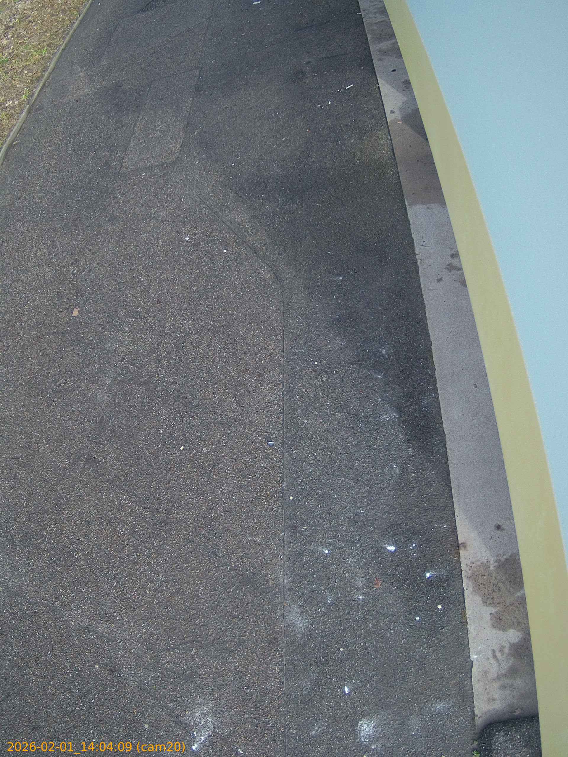 thumbnail_20260201140409