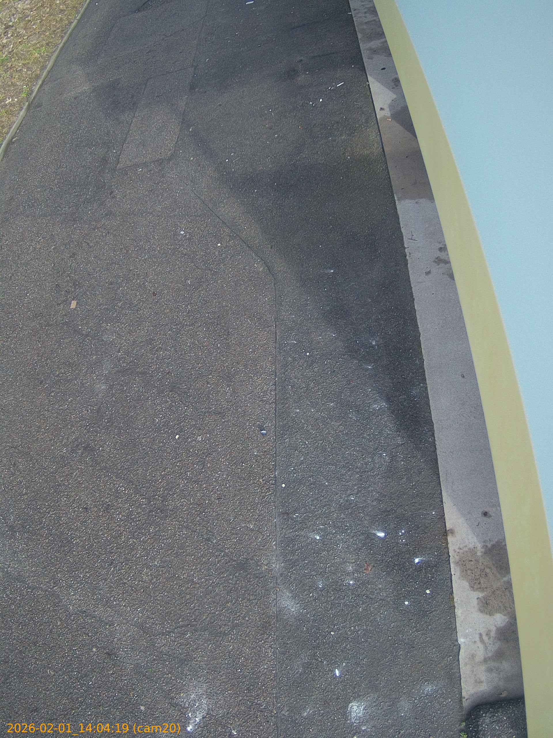 thumbnail_20260201140419