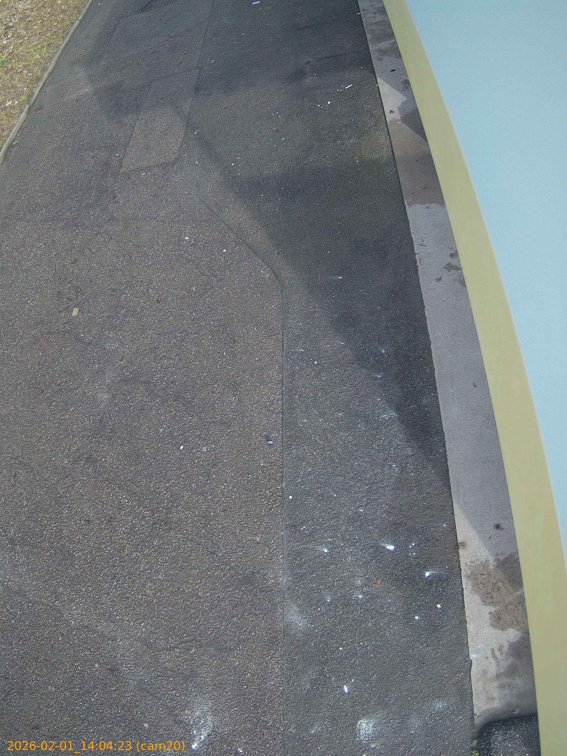 thumbnail_20260201140423