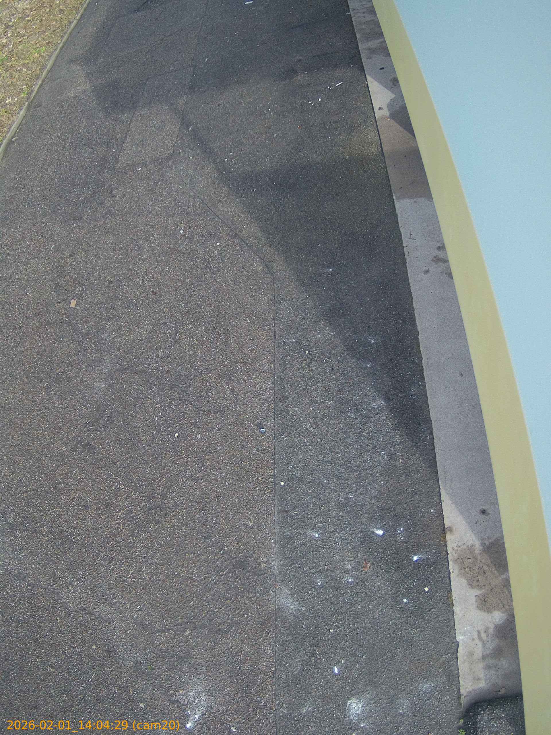 thumbnail_20260201140429