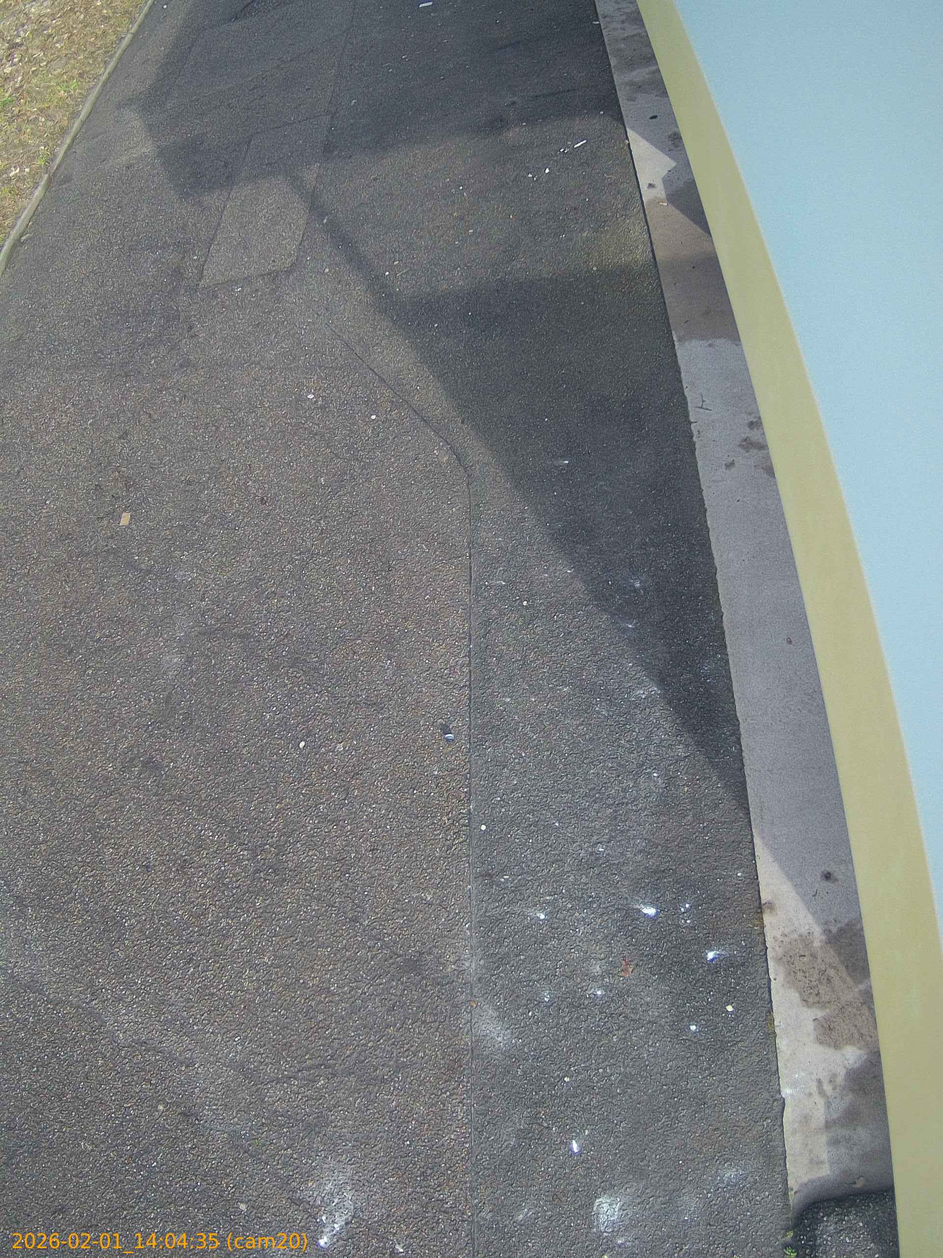 thumbnail_20260201140435