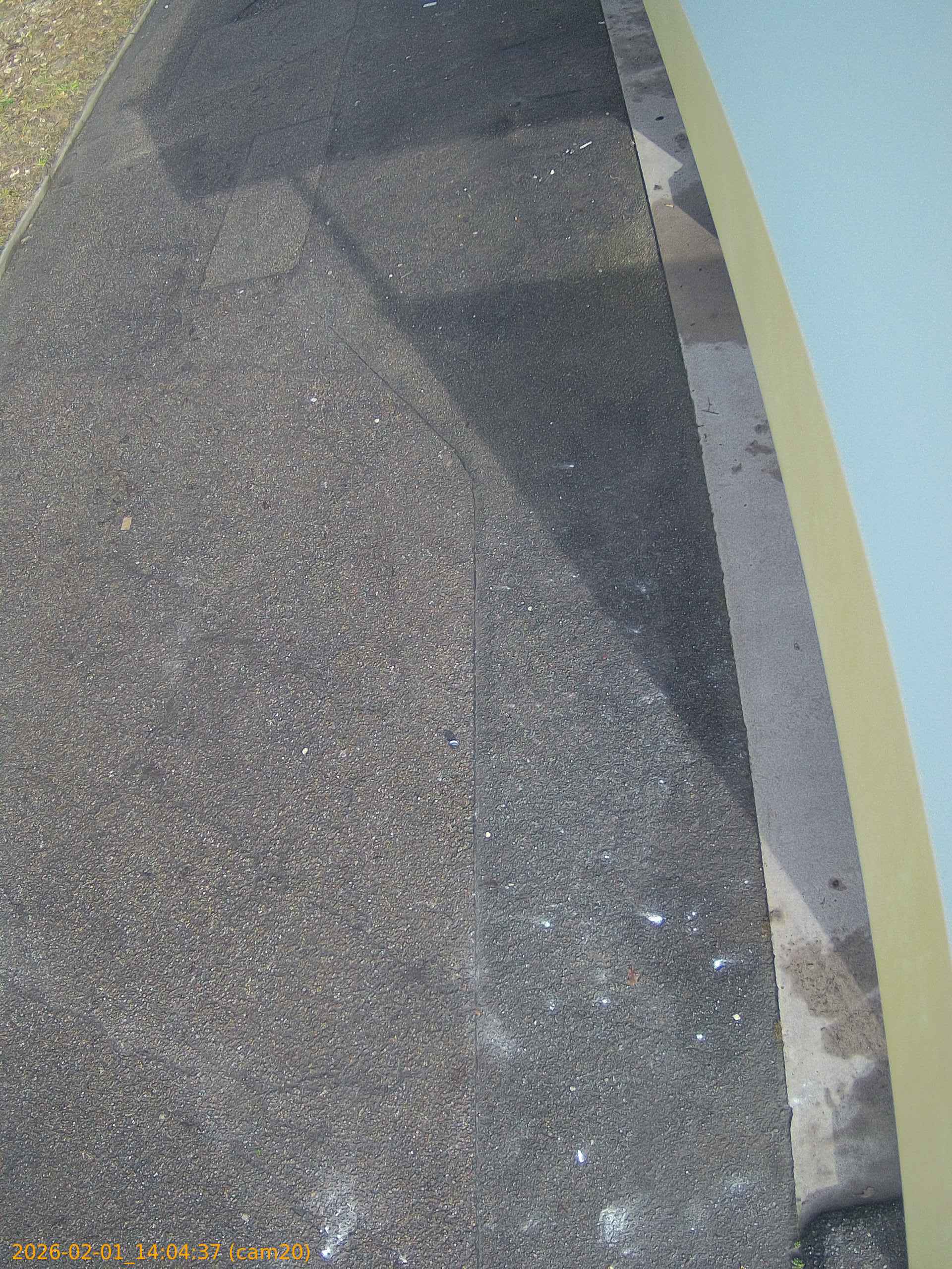 thumbnail_20260201140437