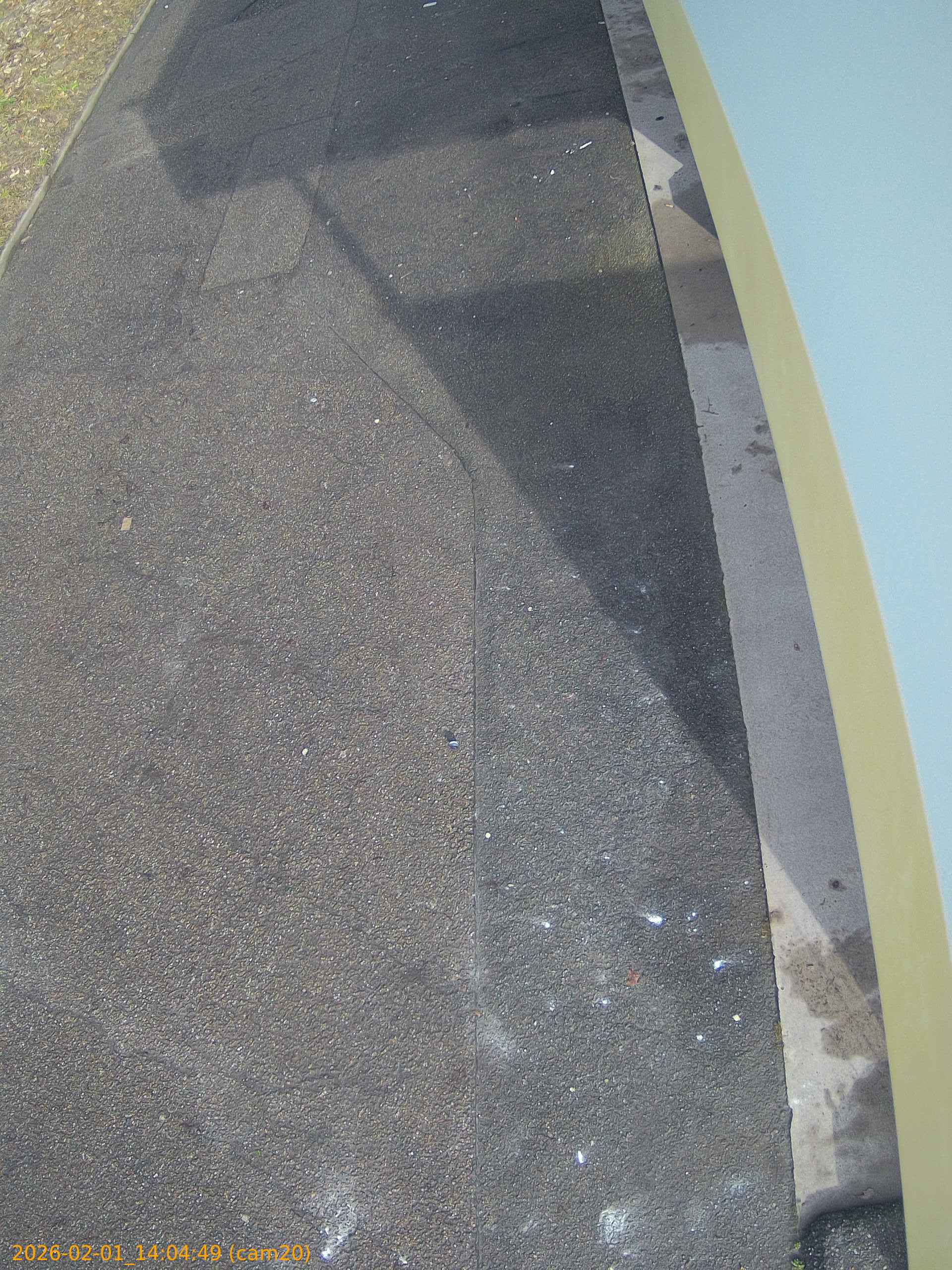 thumbnail_20260201140449