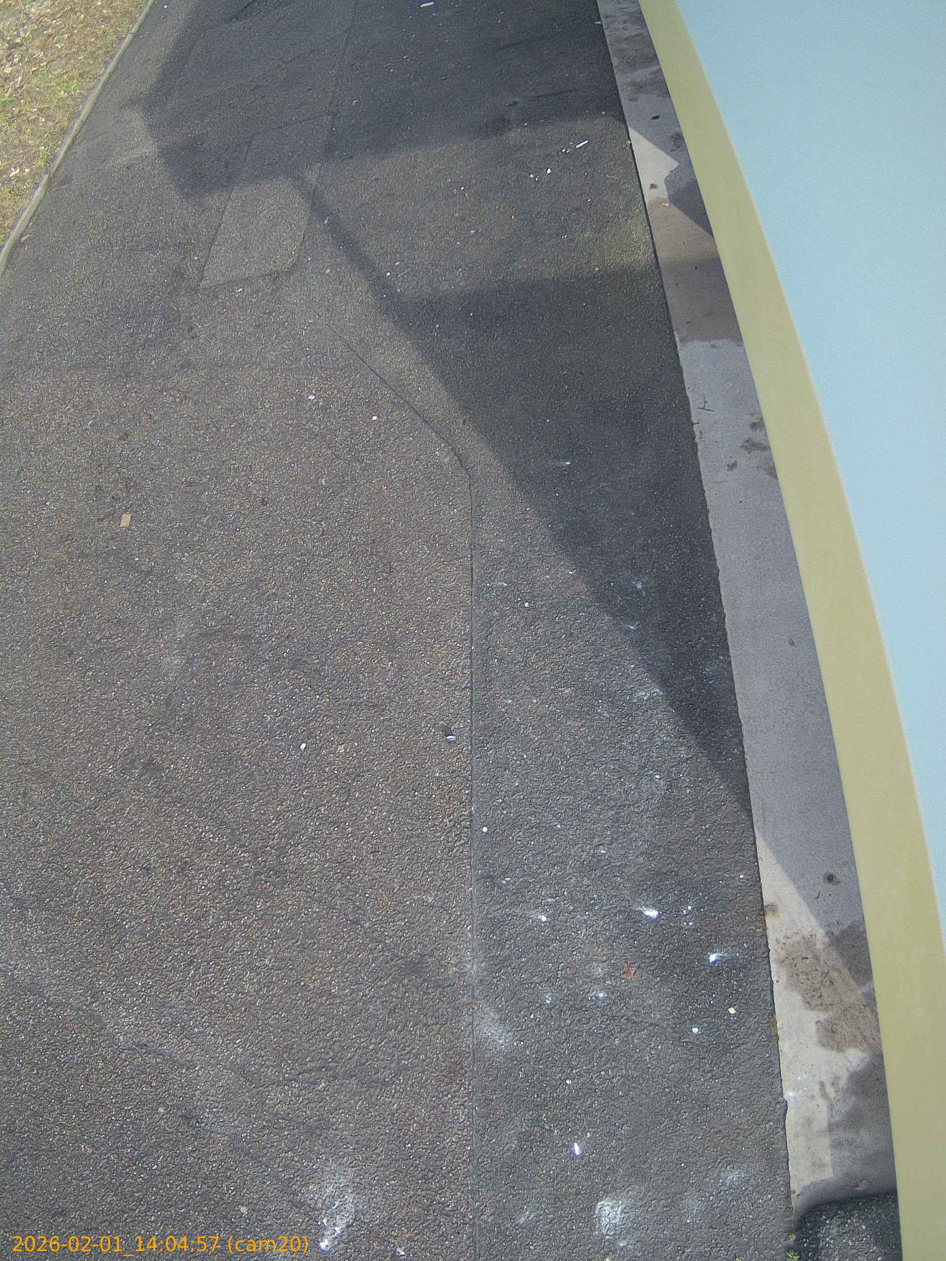 thumbnail_20260201140457