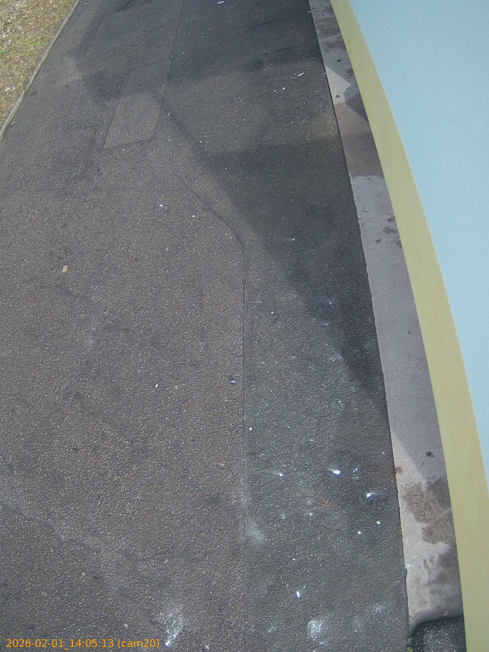 thumbnail_20260201140513