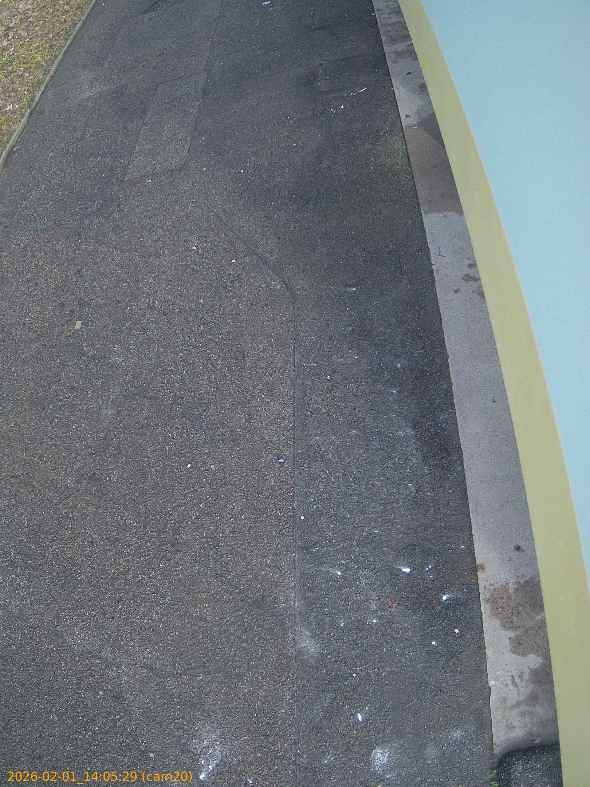 thumbnail_20260201140529