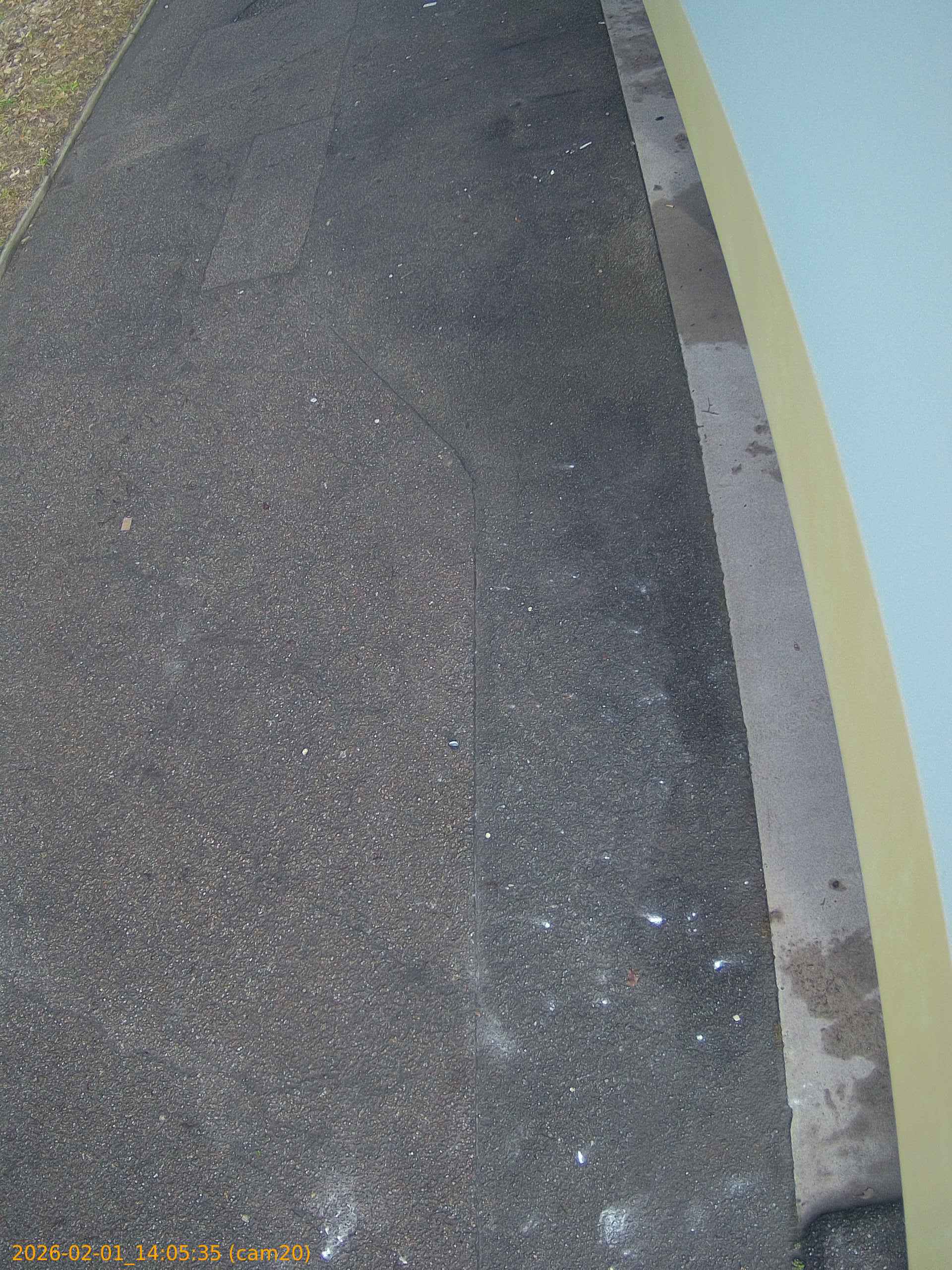 thumbnail_20260201140535