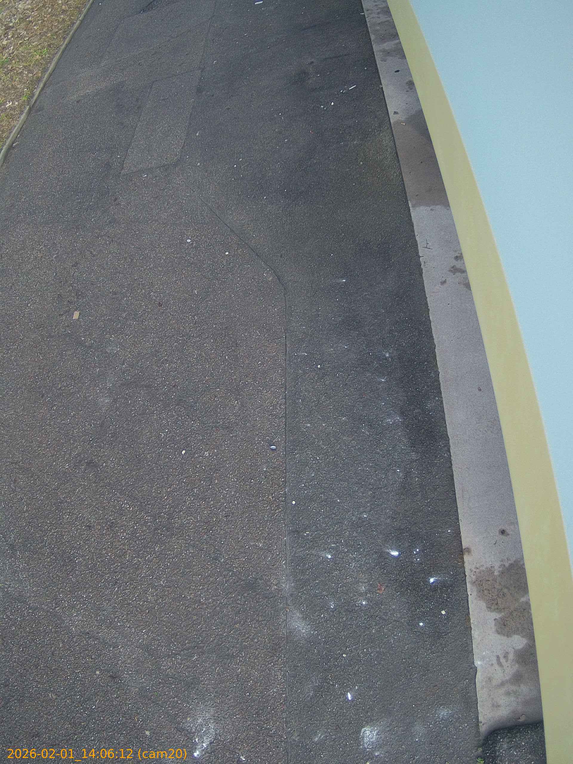 thumbnail_20260201140612