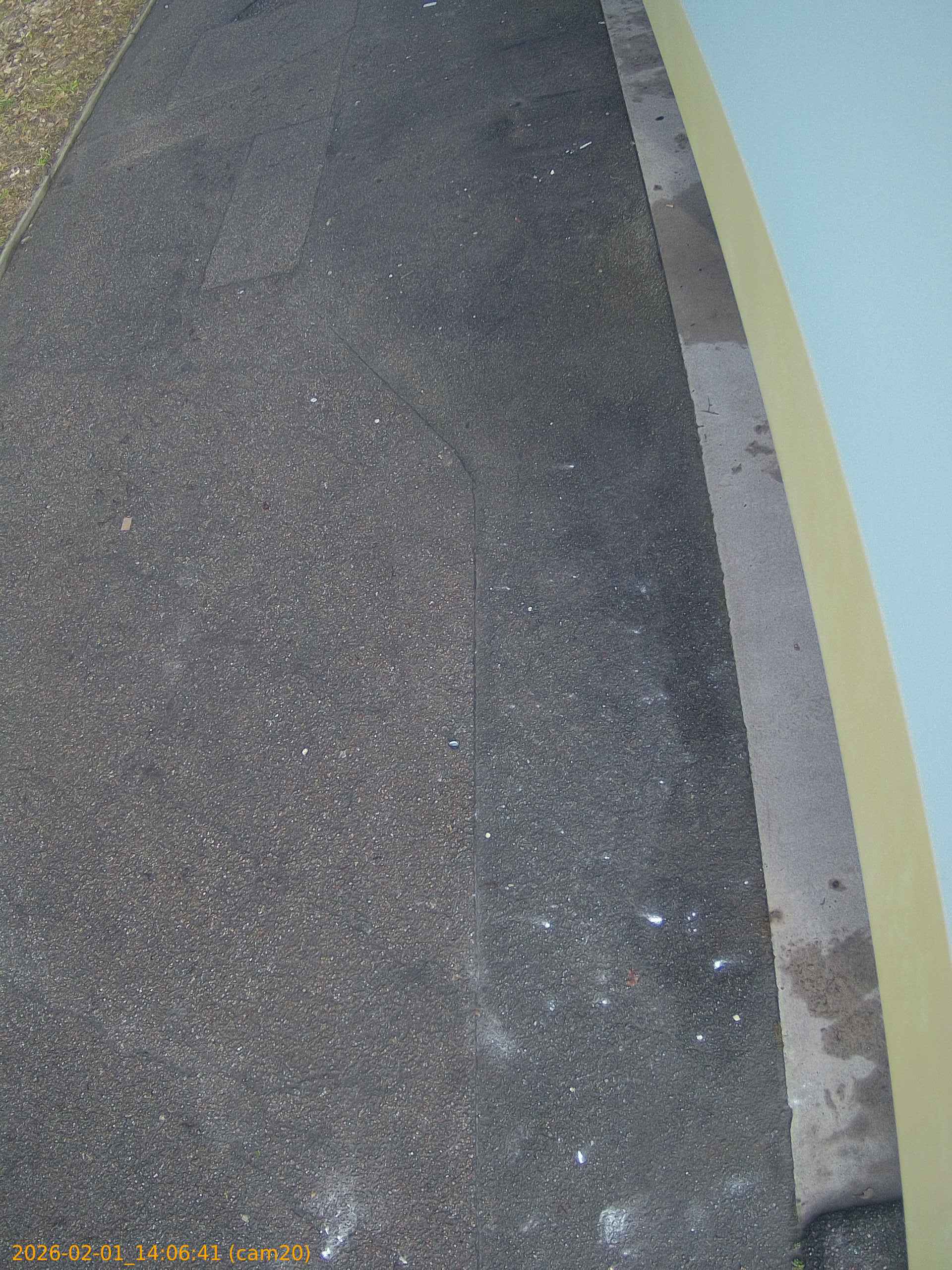 thumbnail_20260201140641