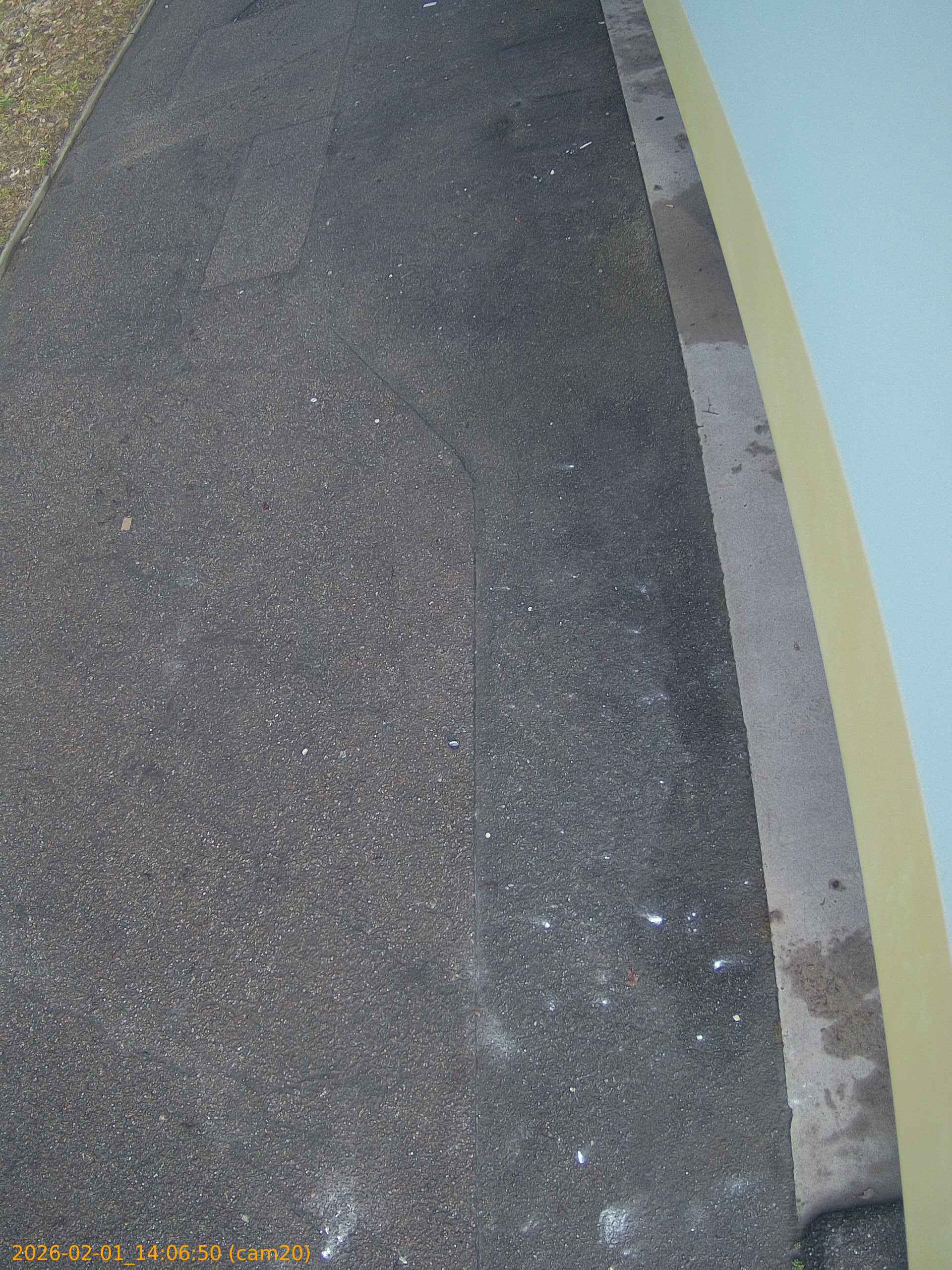 thumbnail_20260201140650