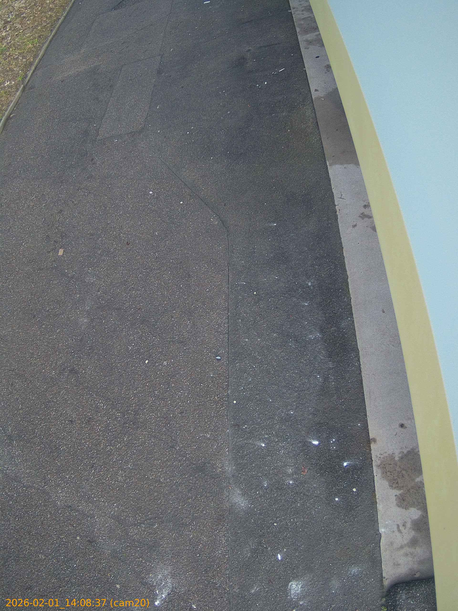 thumbnail_20260201140836