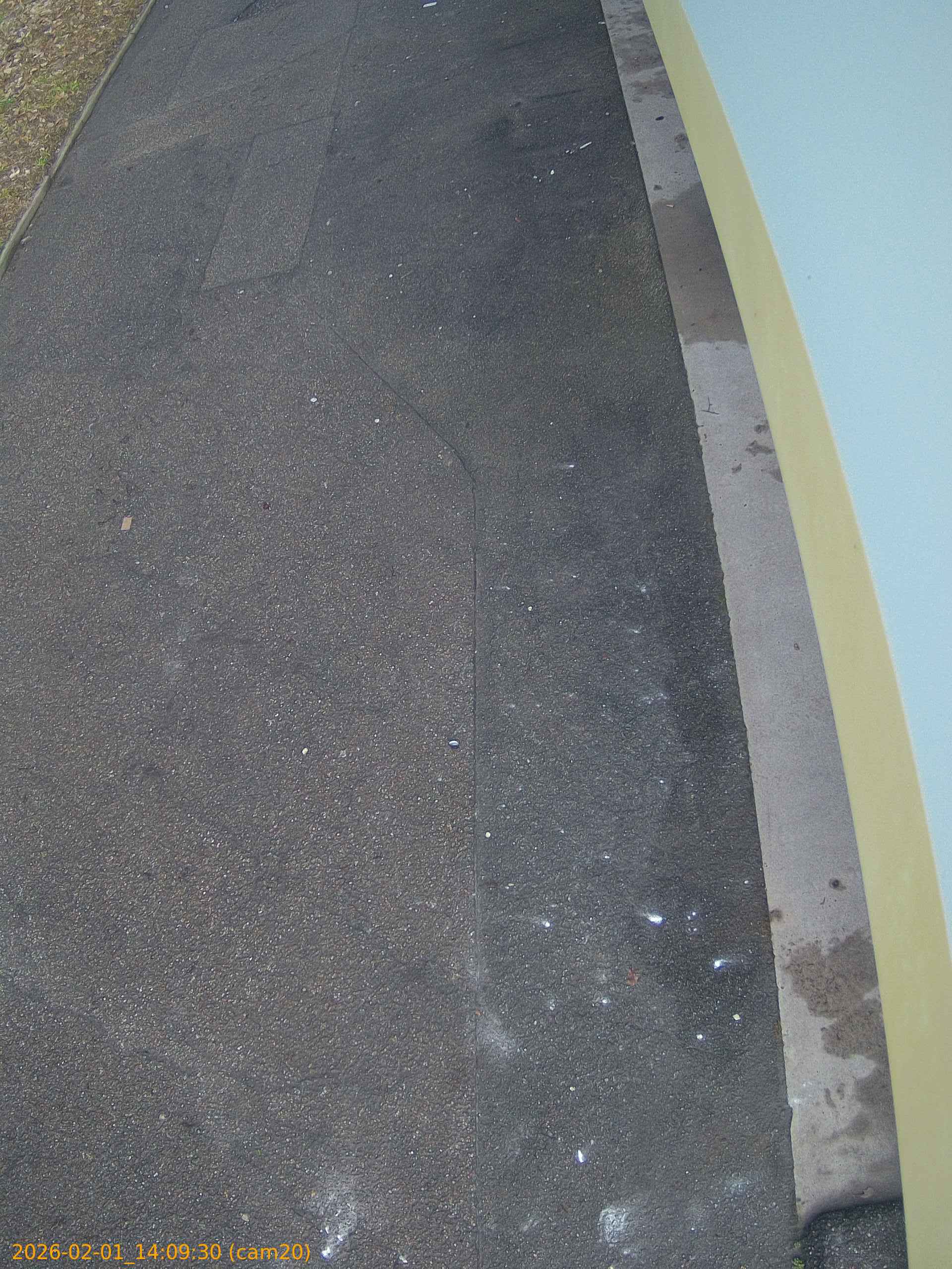 thumbnail_20260201140930