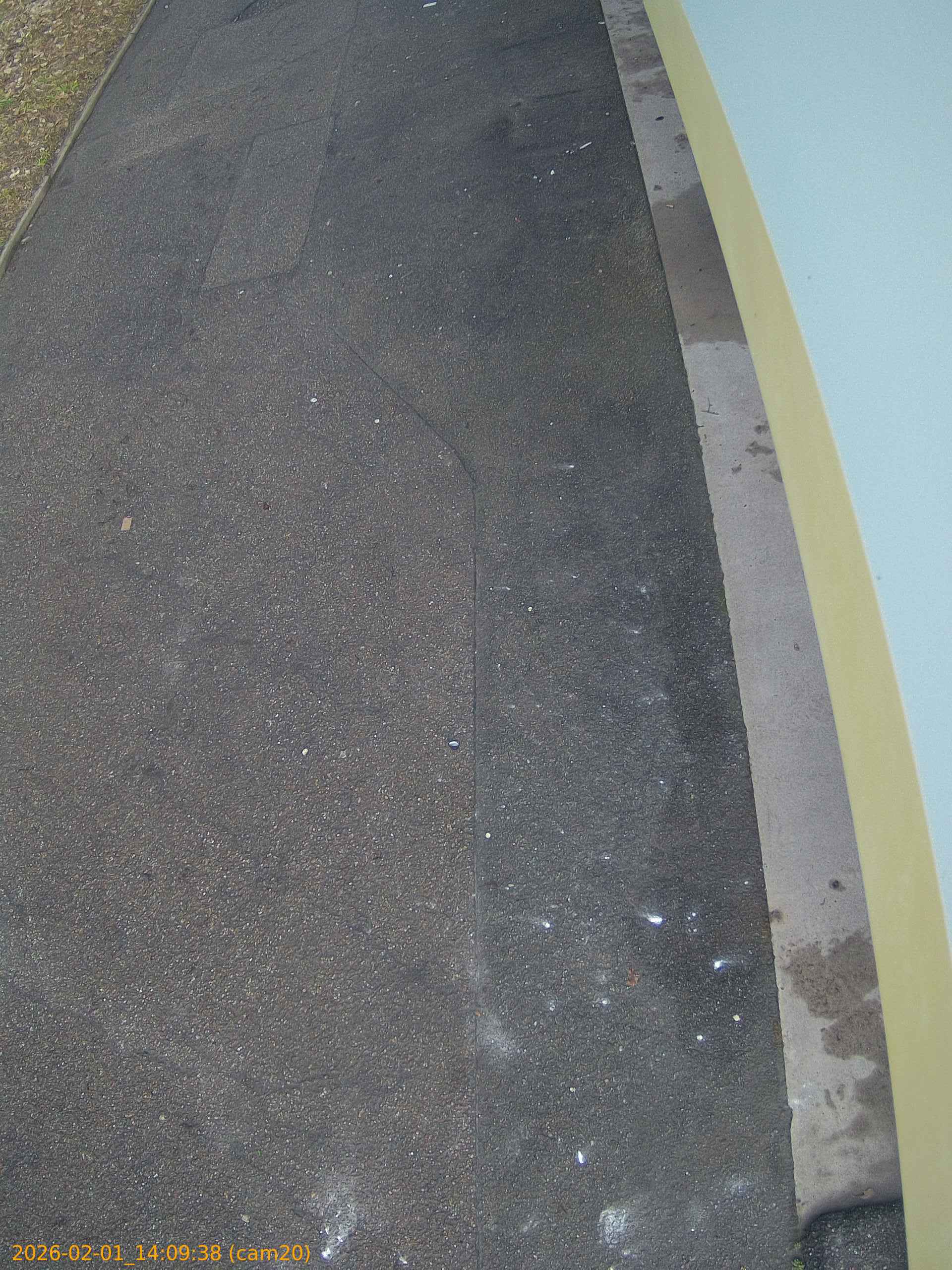 thumbnail_20260201140938