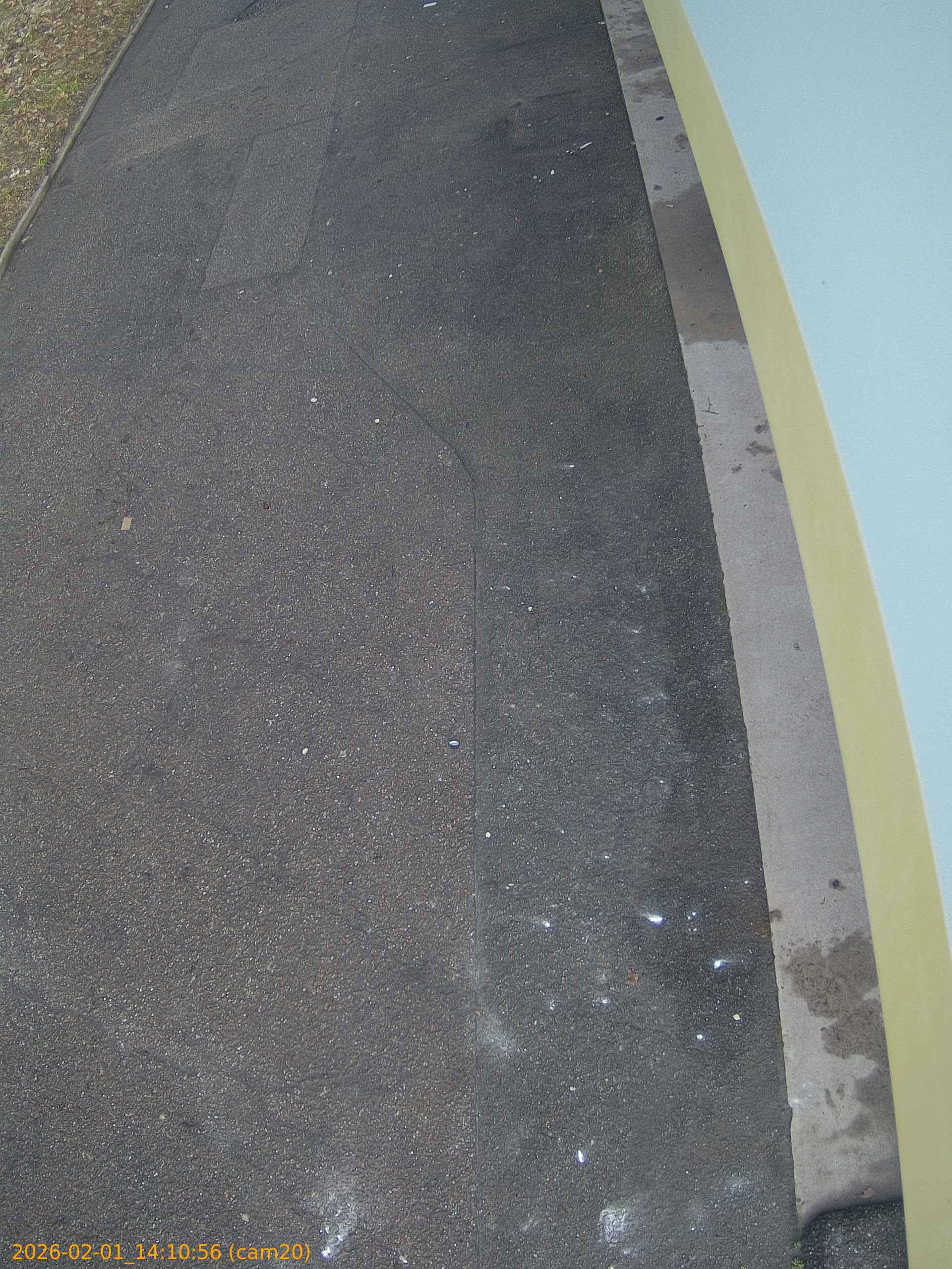 thumbnail_20260201141056