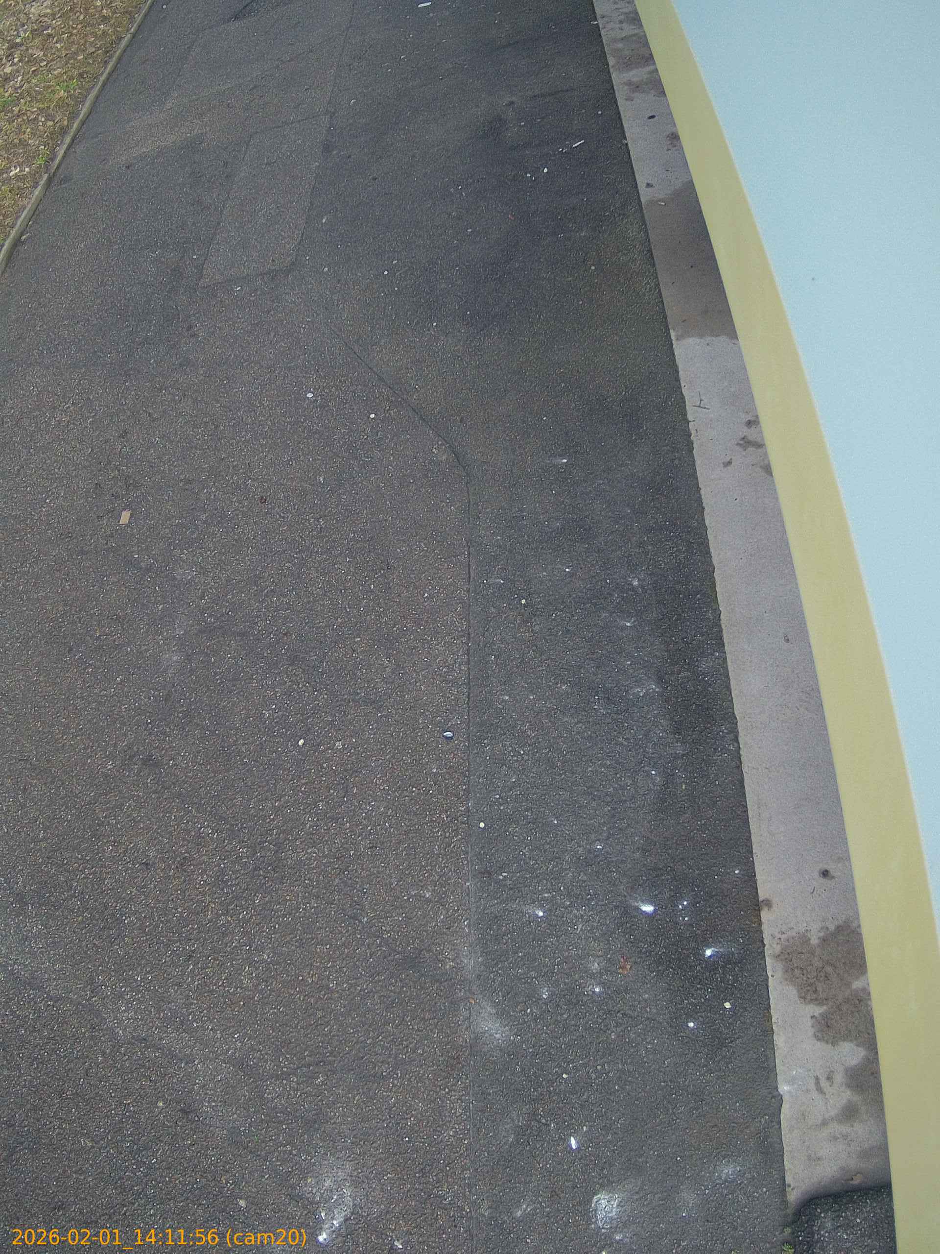 thumbnail_20260201141156