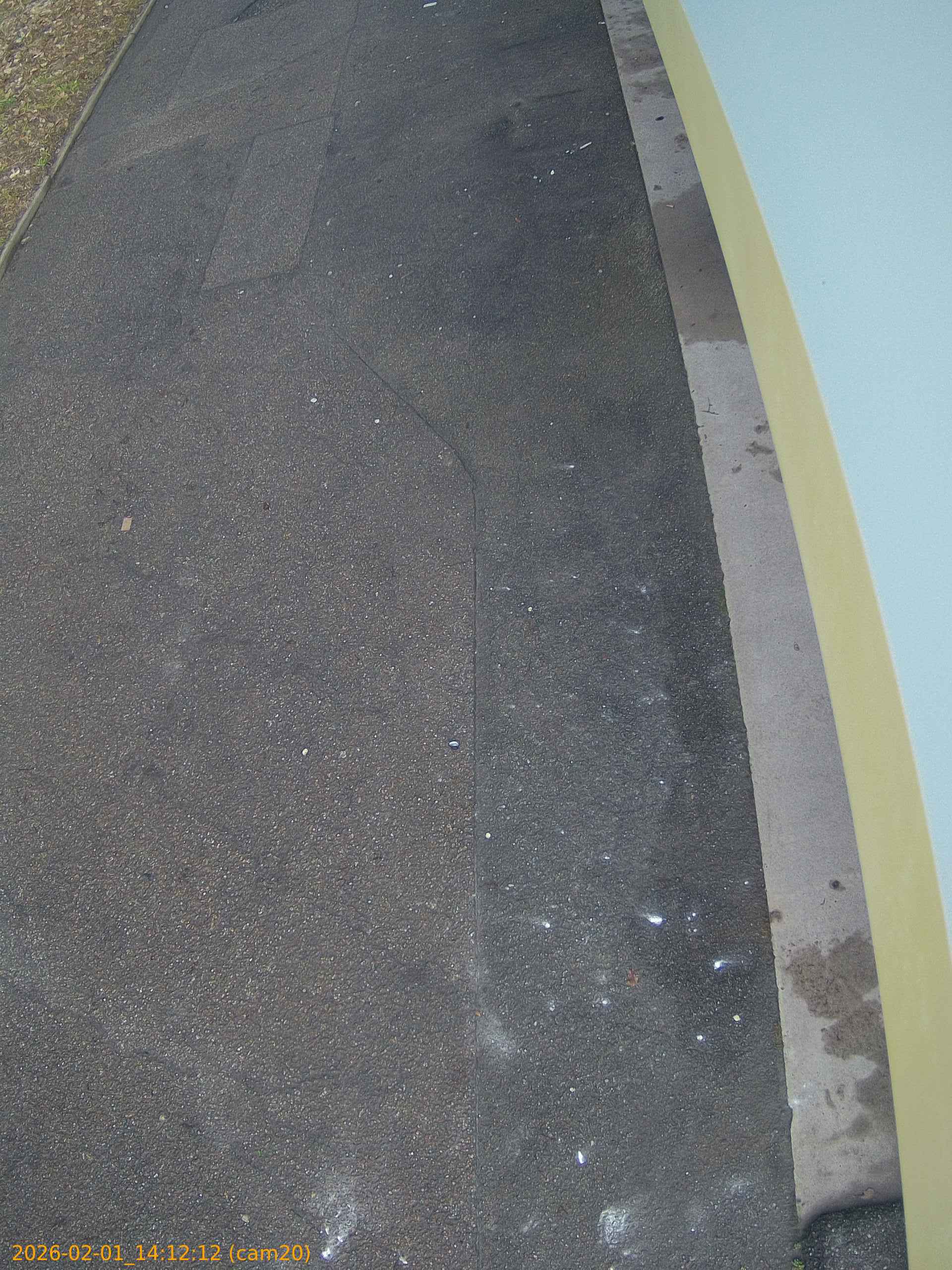 thumbnail_20260201141212