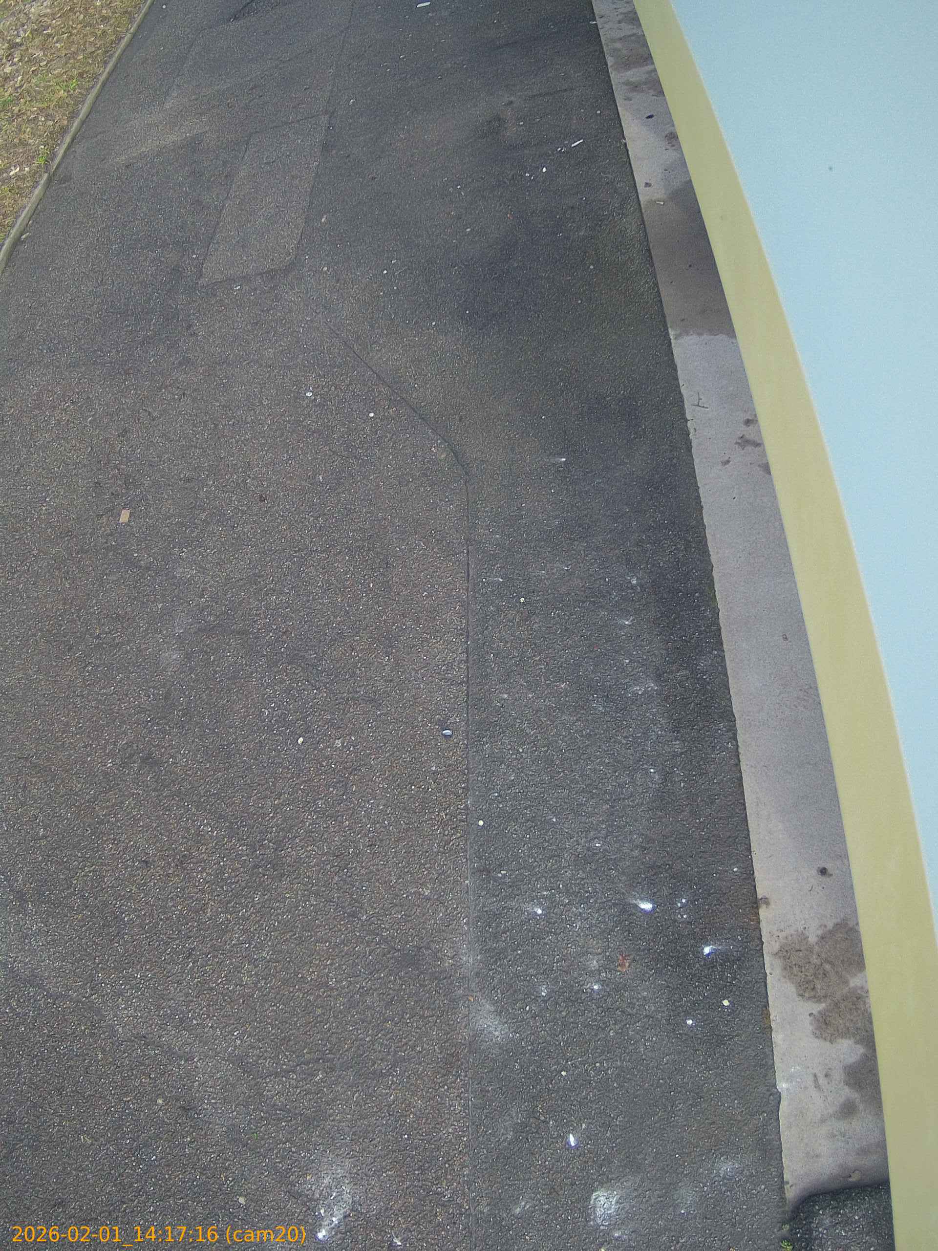 thumbnail_20260201141716