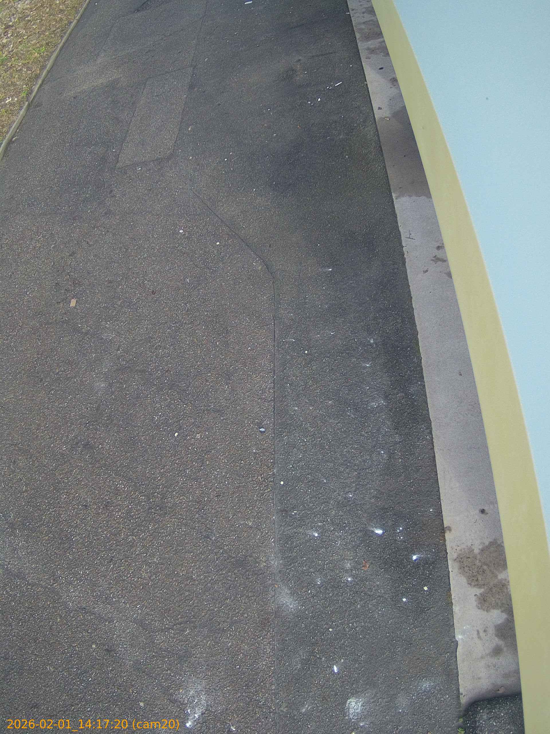 thumbnail_20260201141720