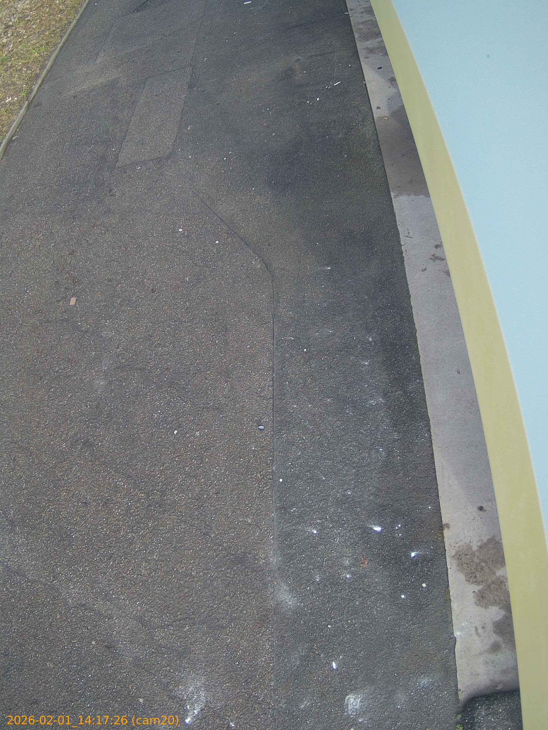 thumbnail_20260201141726