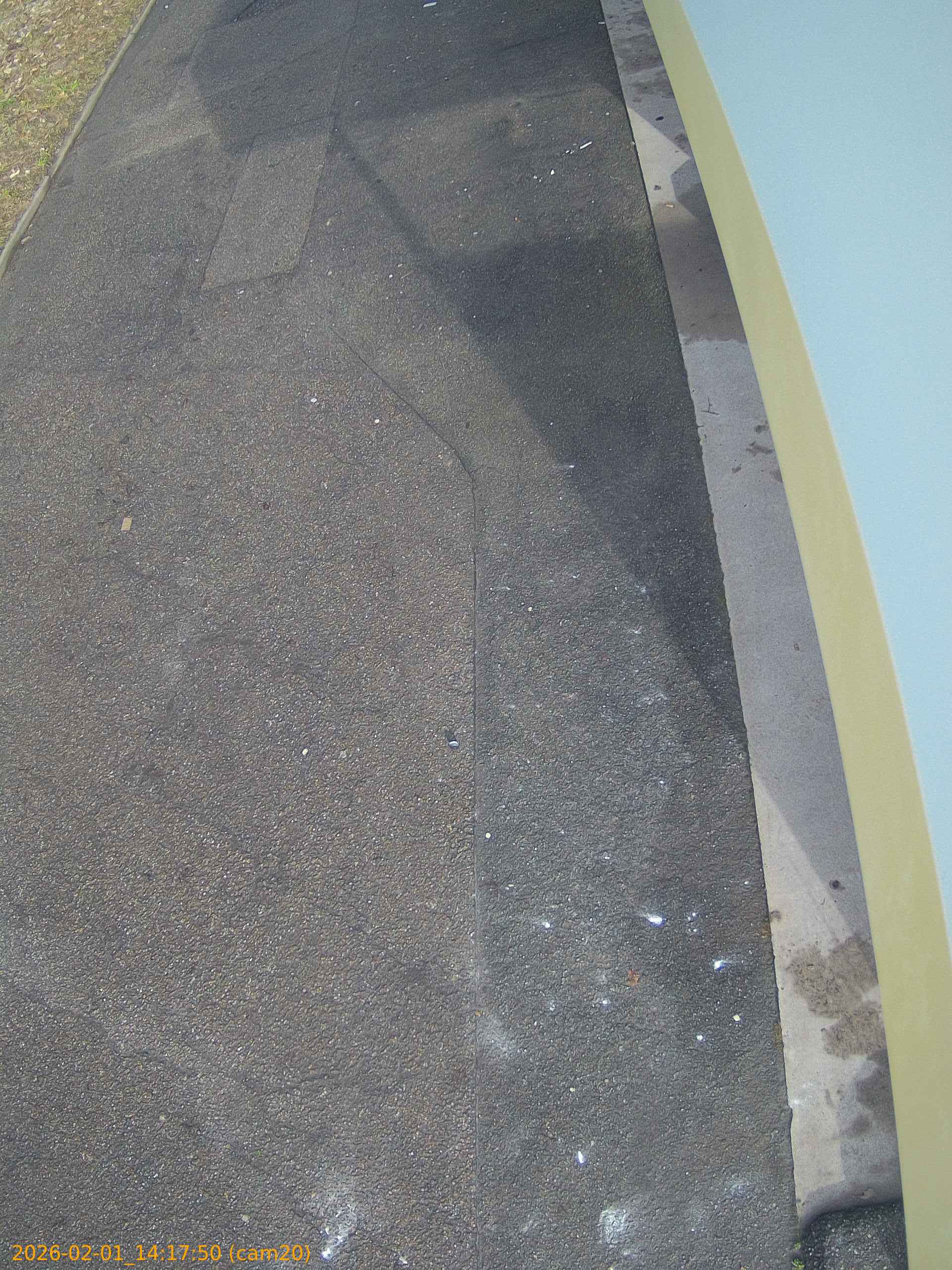 thumbnail_20260201141750